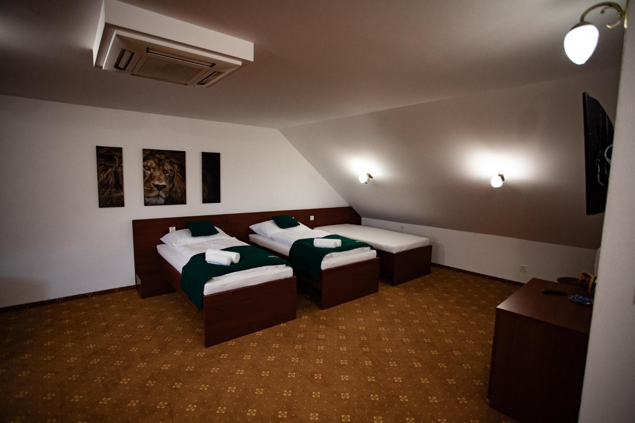 Deluxe Double Room (2 Adults + 1 Child) photo 1