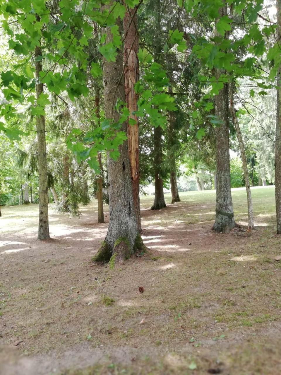 Villa - Photo 26