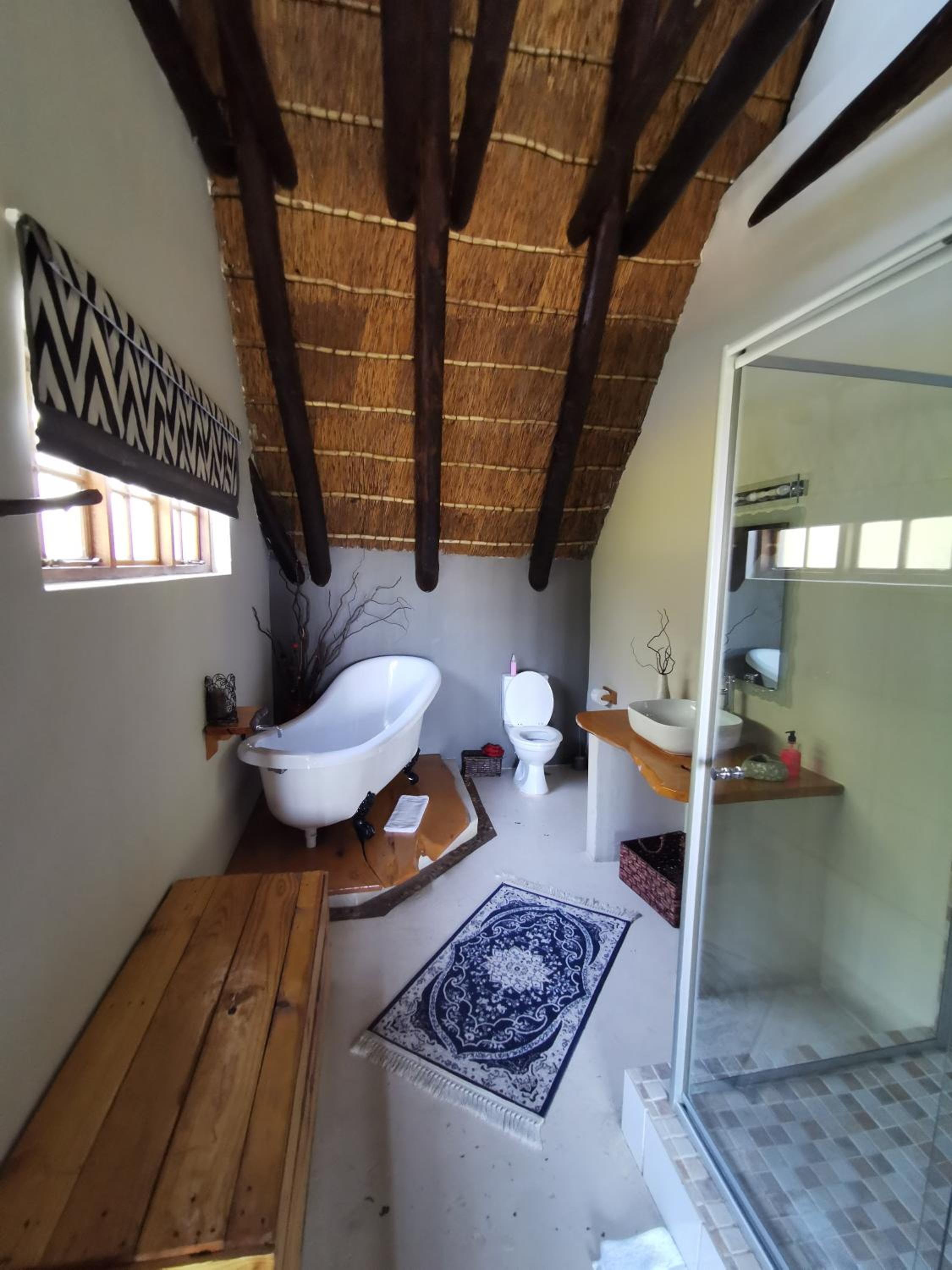 Suite - Photo 6