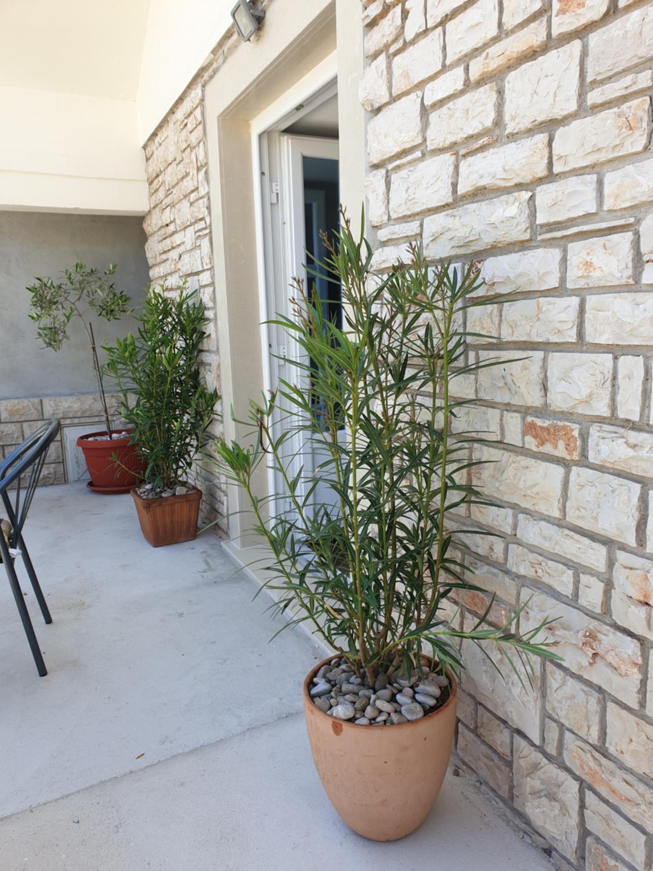 Apartment - Ground Floor photo 3