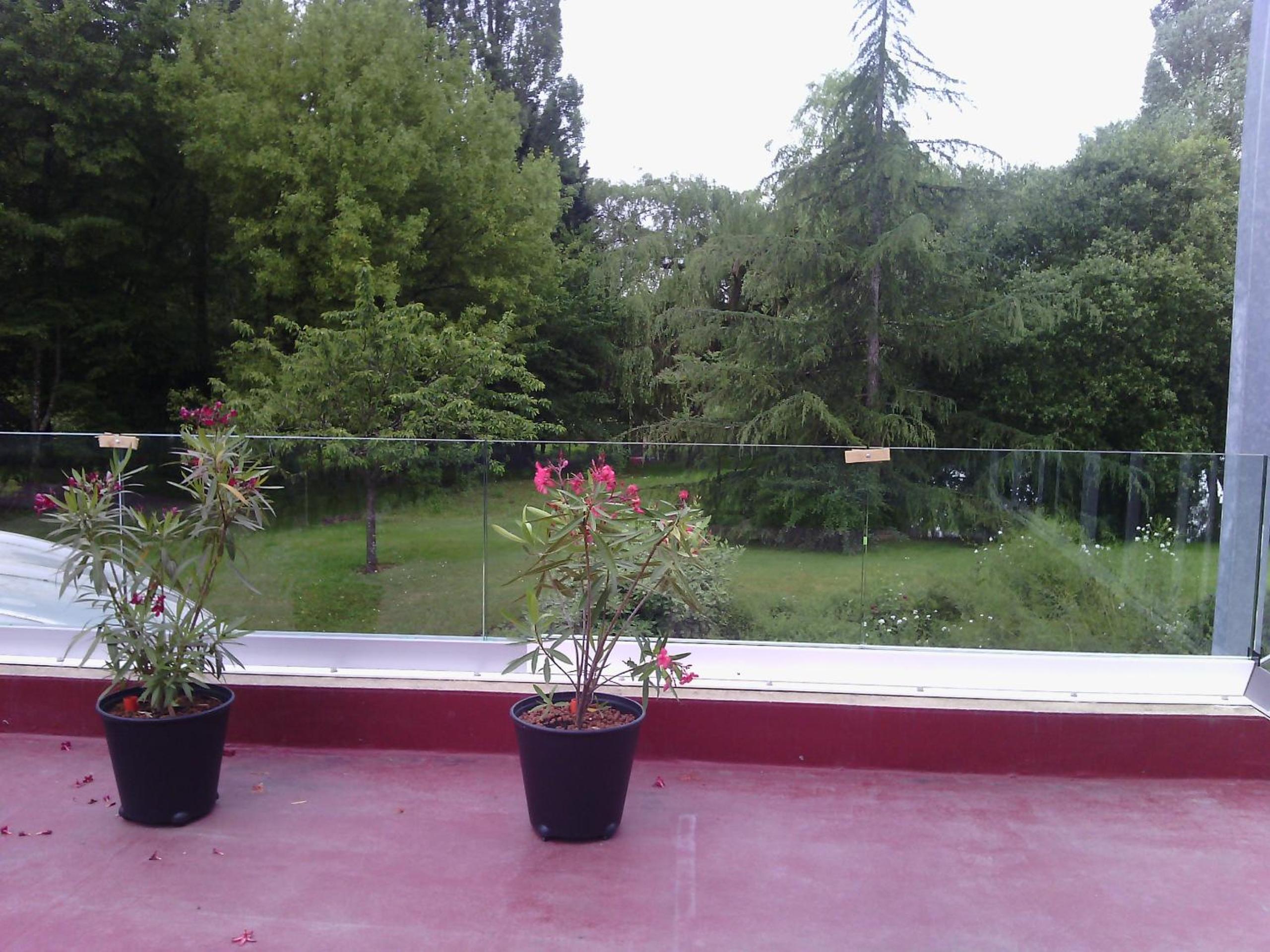 Double Room with Garden View photo 3