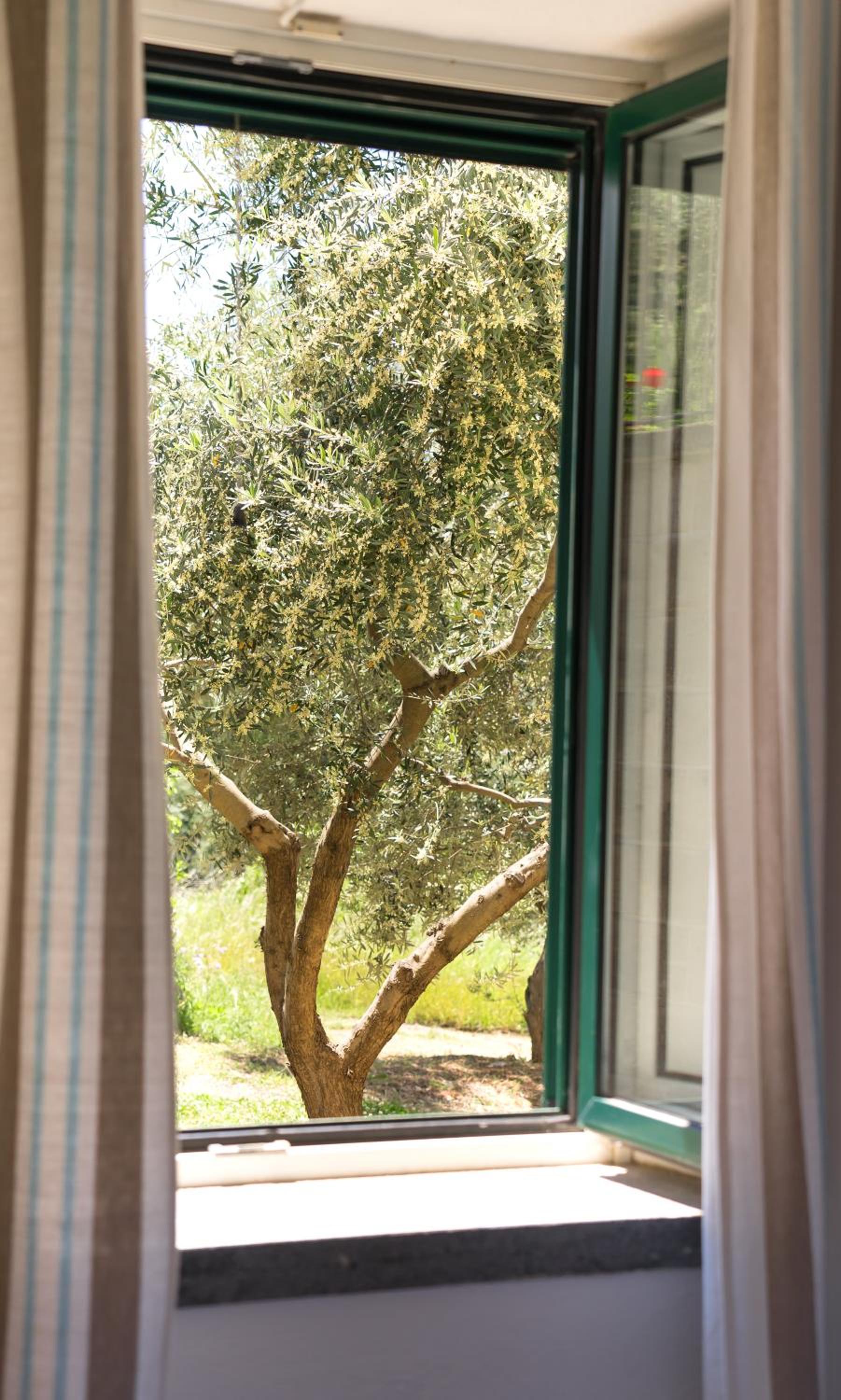 Capo Apartment - La Casa - Photo 2