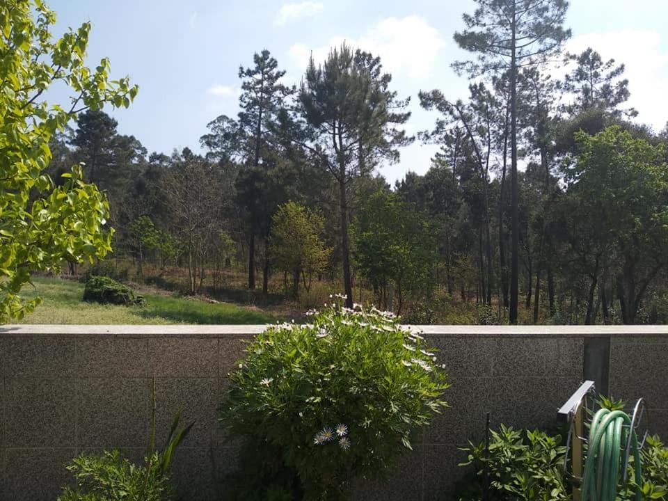 Five-Bedroom House photo 2