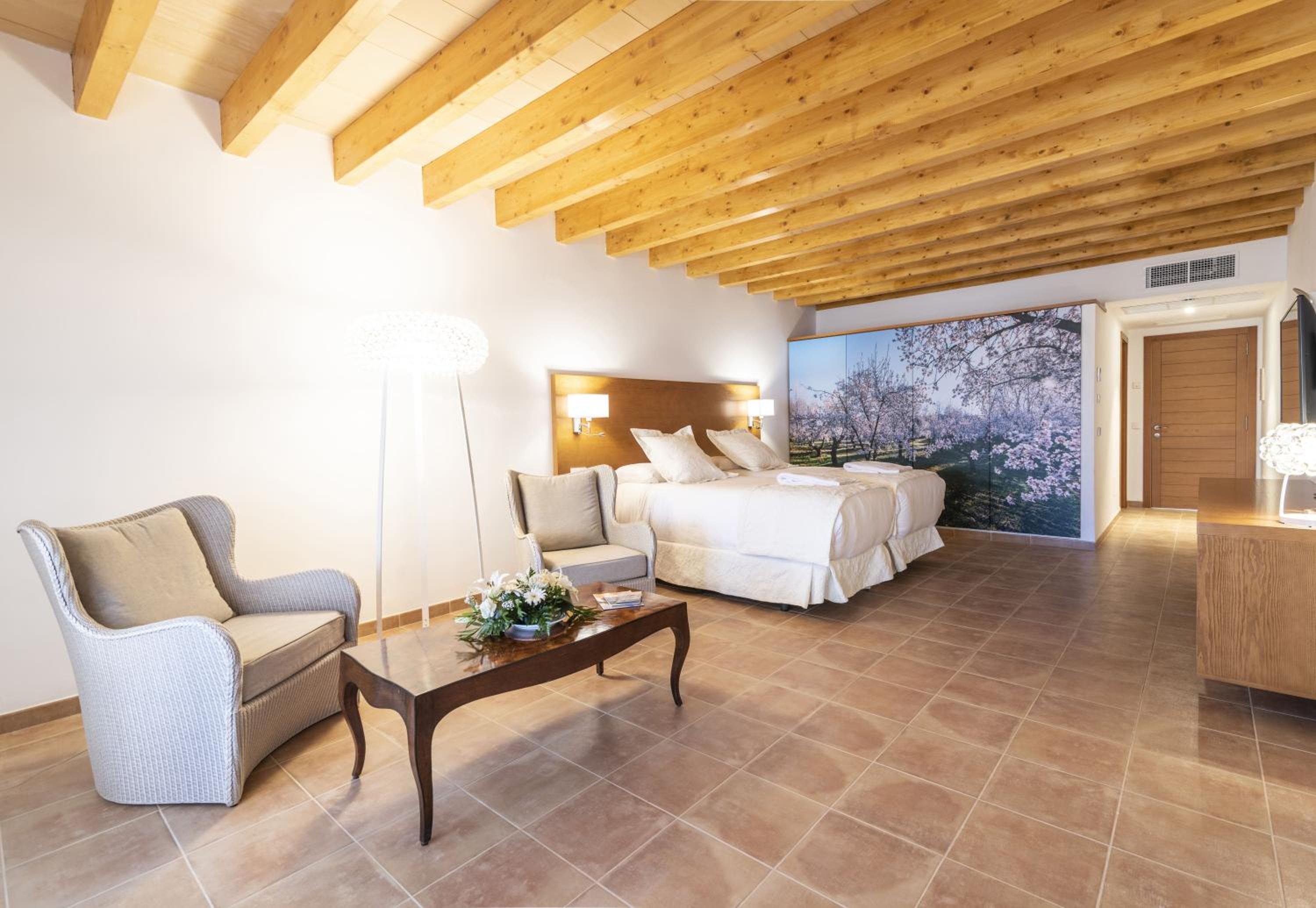 Suite Junior con Terraza - Acceso al Spa