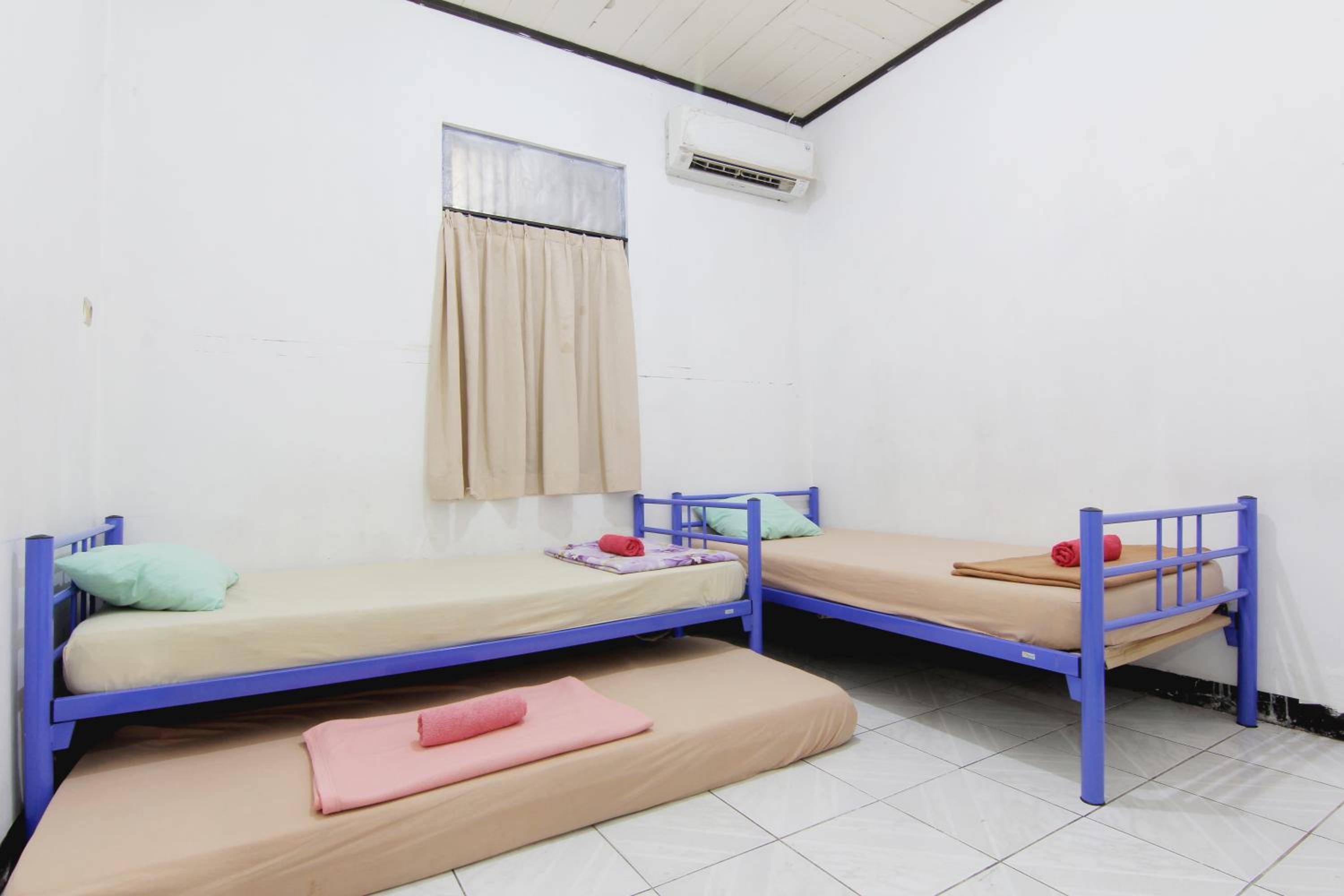 Bunk Bed in Mixed Dormitory Room photo 1