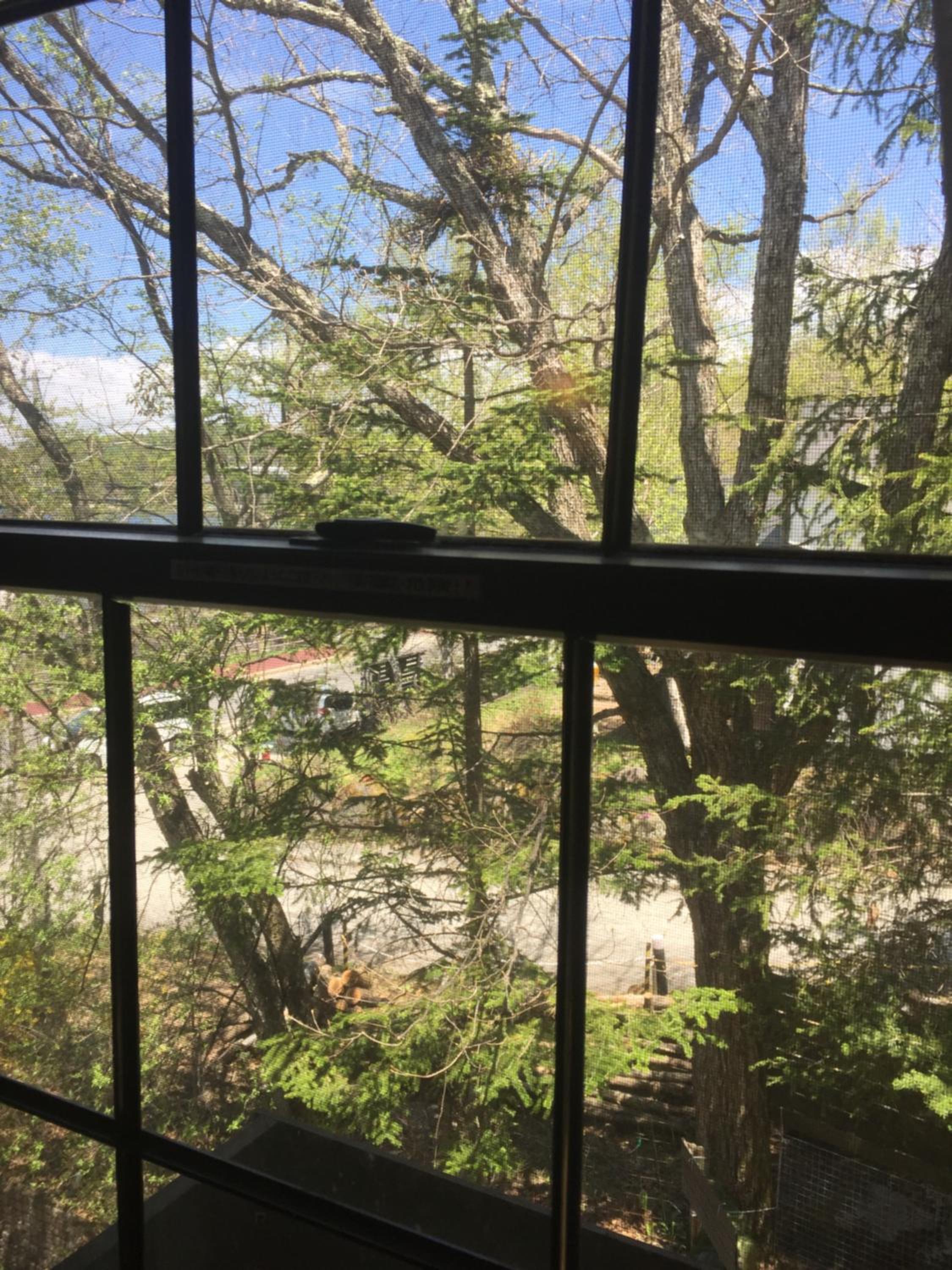 Quadruple Room with Lake View - Photo 5