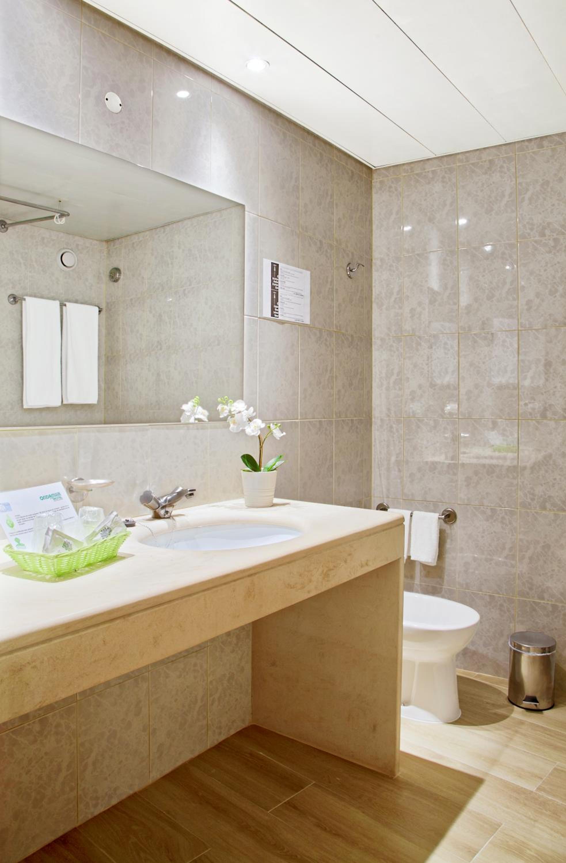 One-Bedroom Apartment - Photo 7
