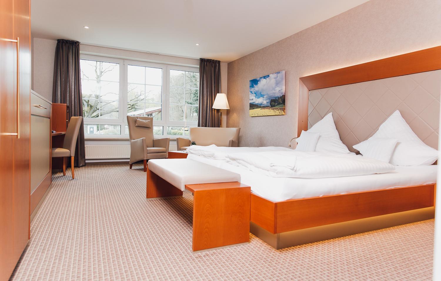 Deluxe Double Room photo 3