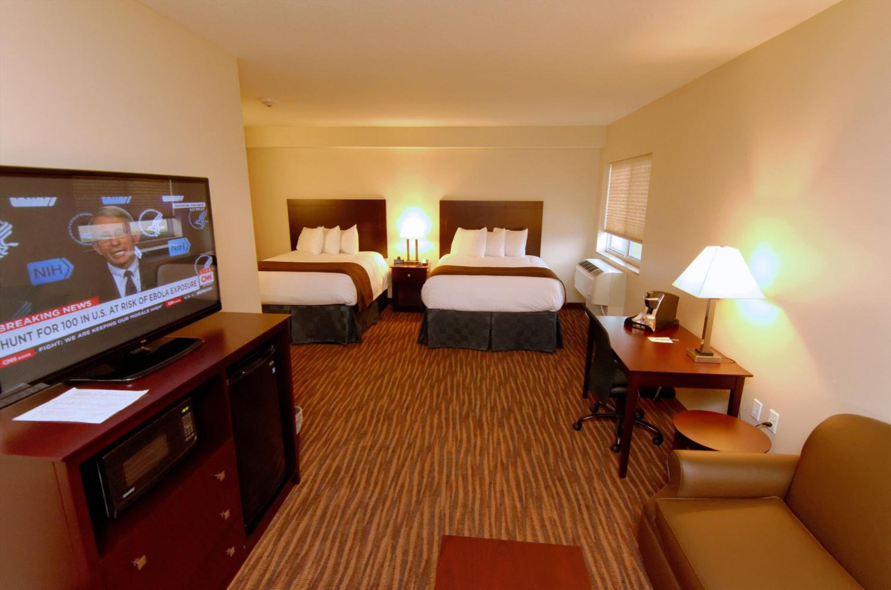 Family Suite photo 1