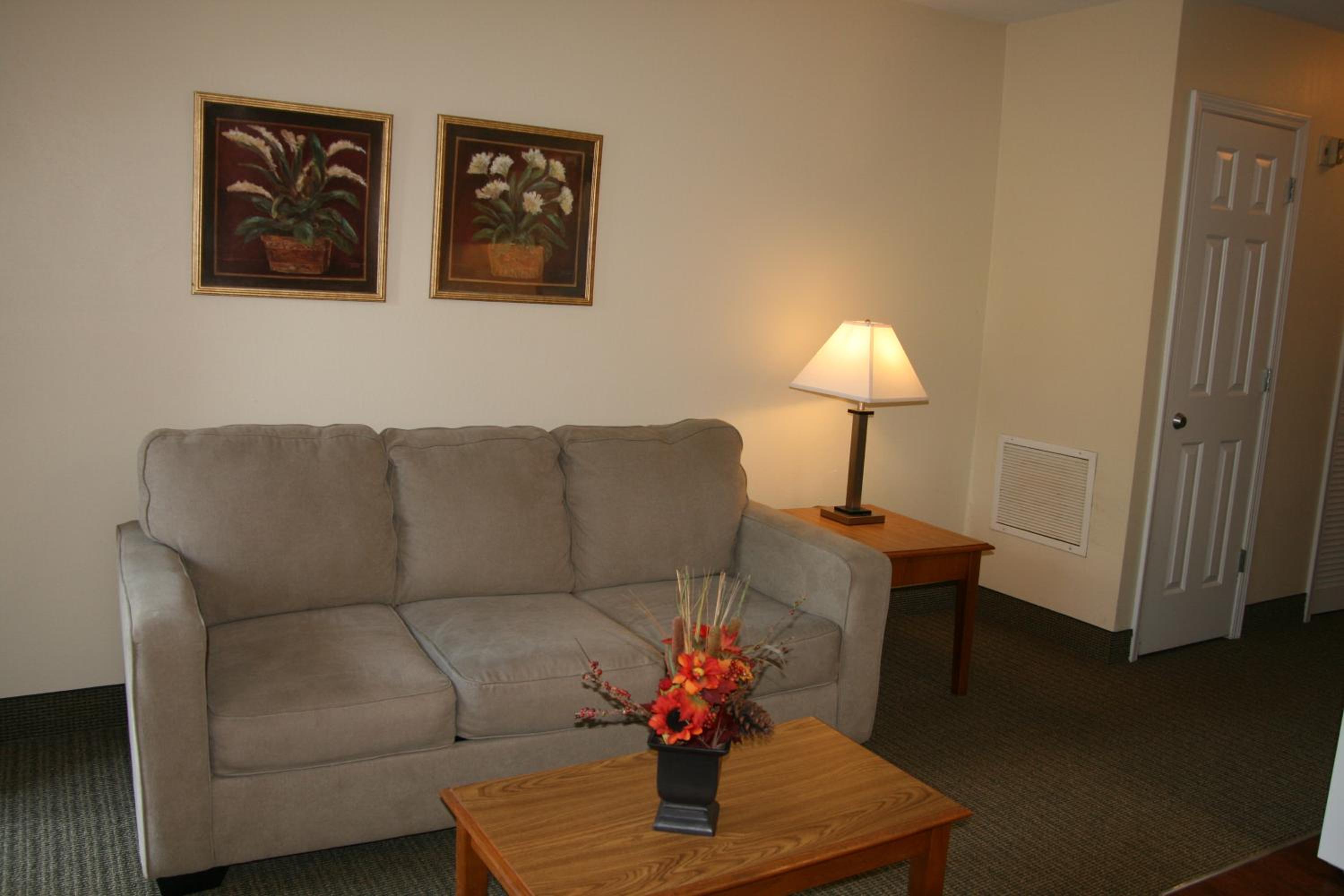 One-Bedroom Suite - Photo 5