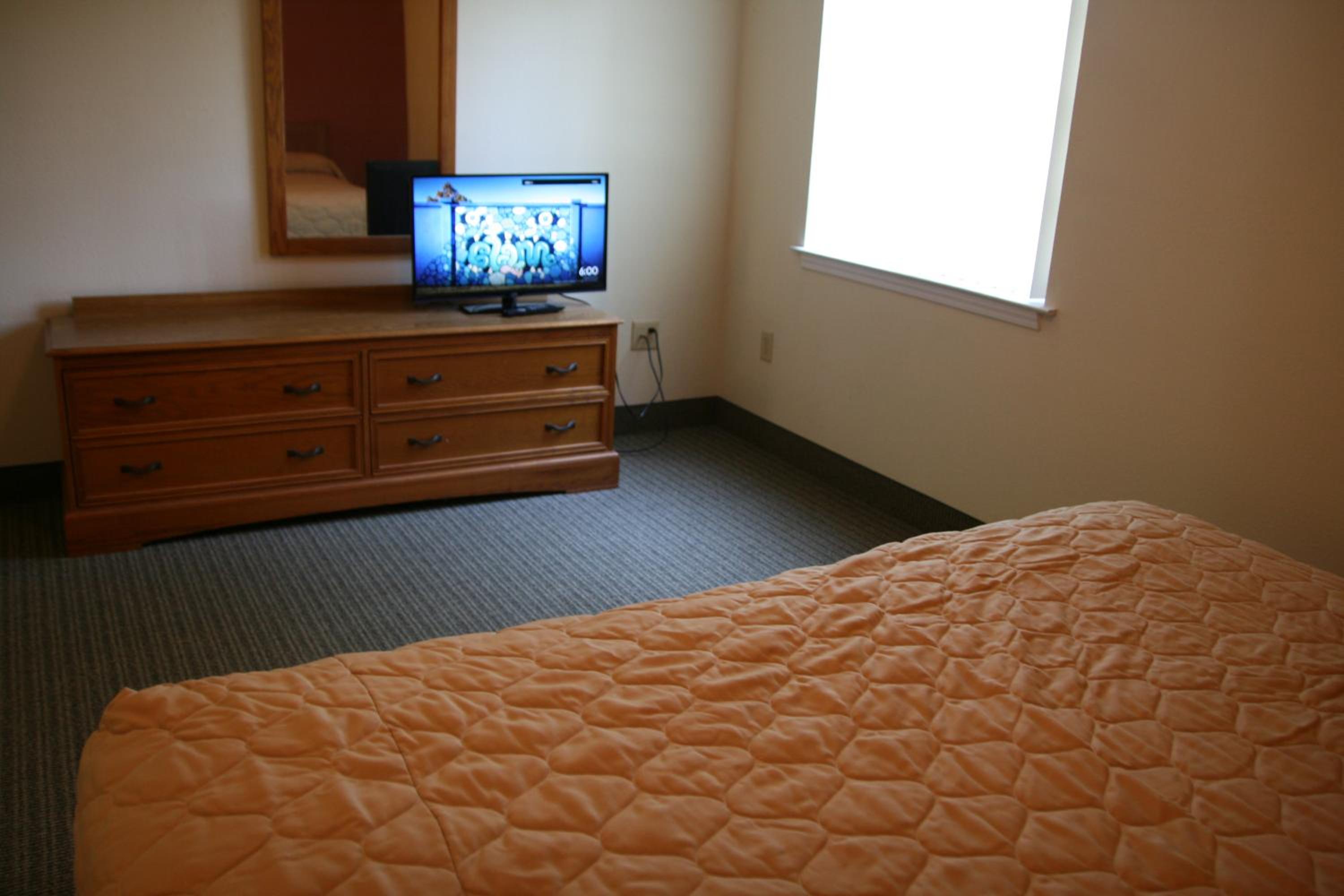 One-Bedroom Suite - Photo 6