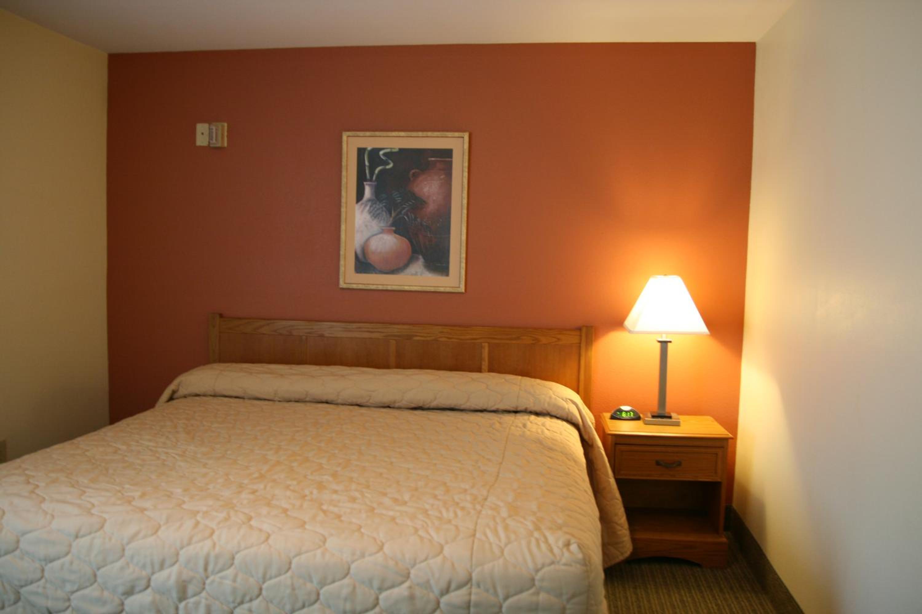 One-Bedroom Suite - Photo 7