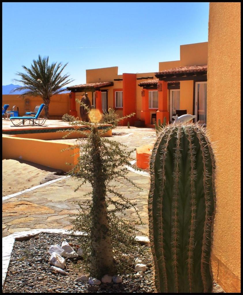 Triple Room with Pool View thumbnail 5