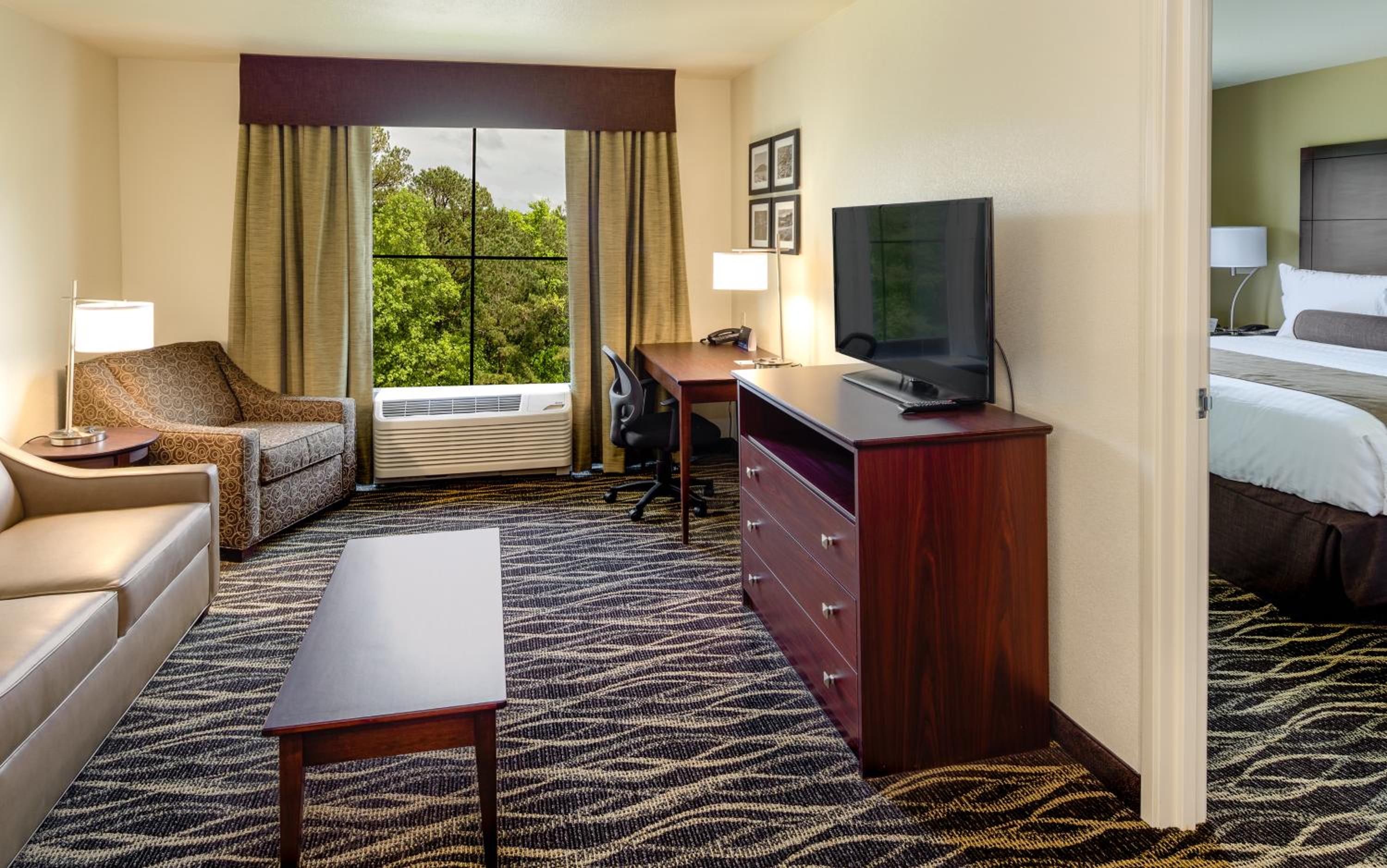 Deluxe Suite photo 1