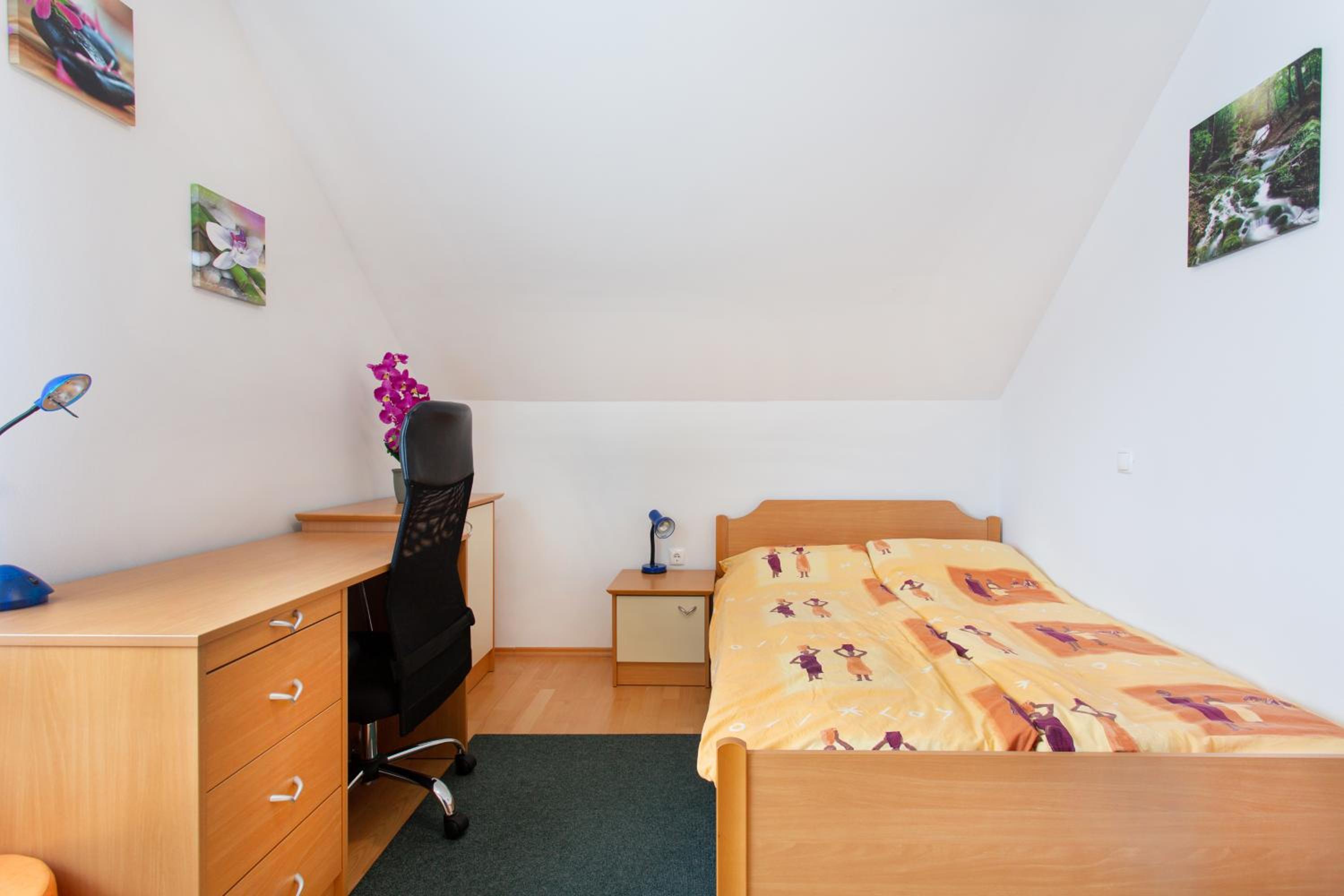 Double or Twin Room photo 1
