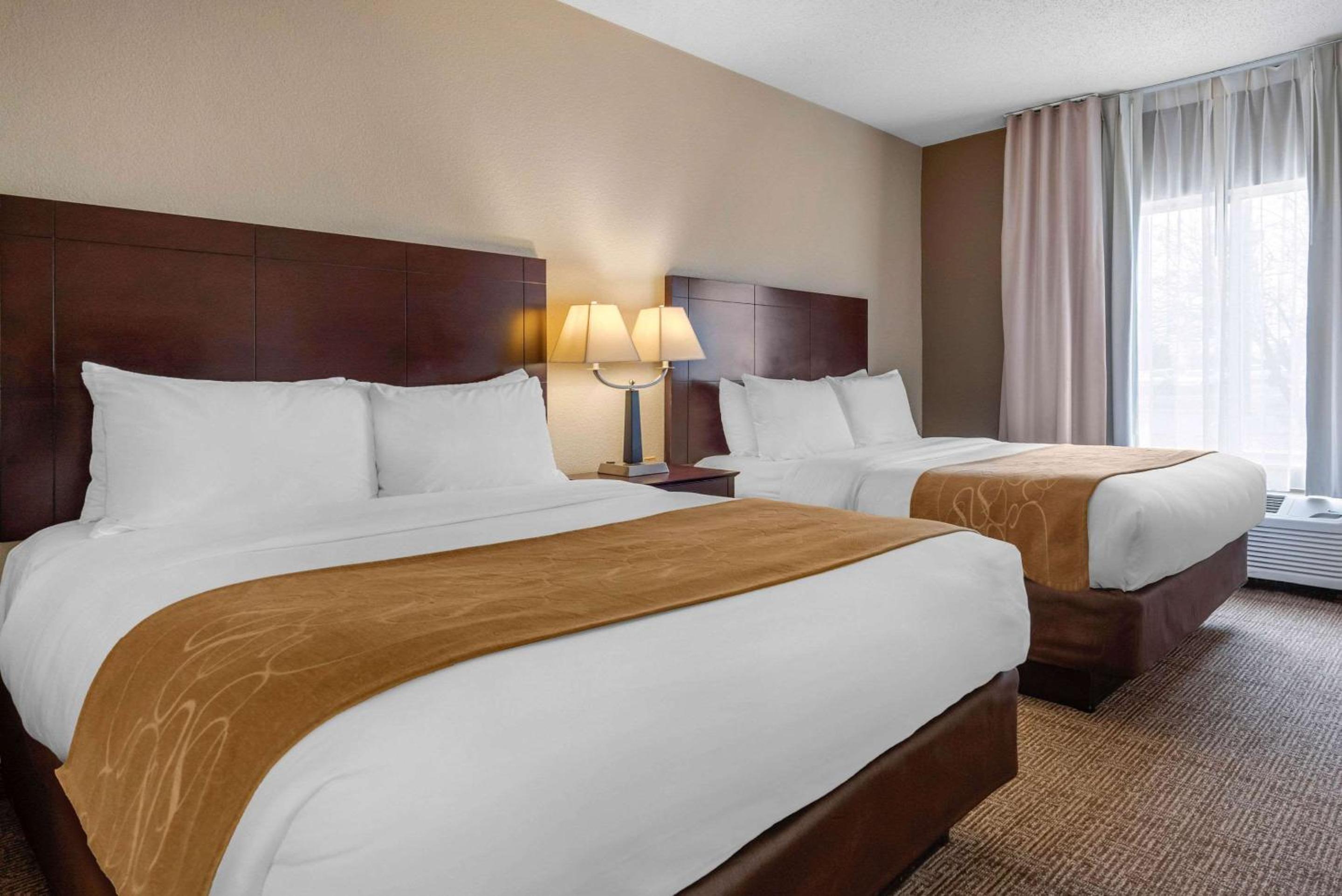 Queen Suite with Two Queen Beds - Non-Smoking - Photo 1