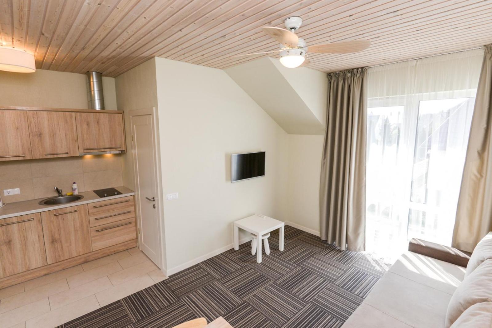 Superior One-Bedroom Apartment photo 3