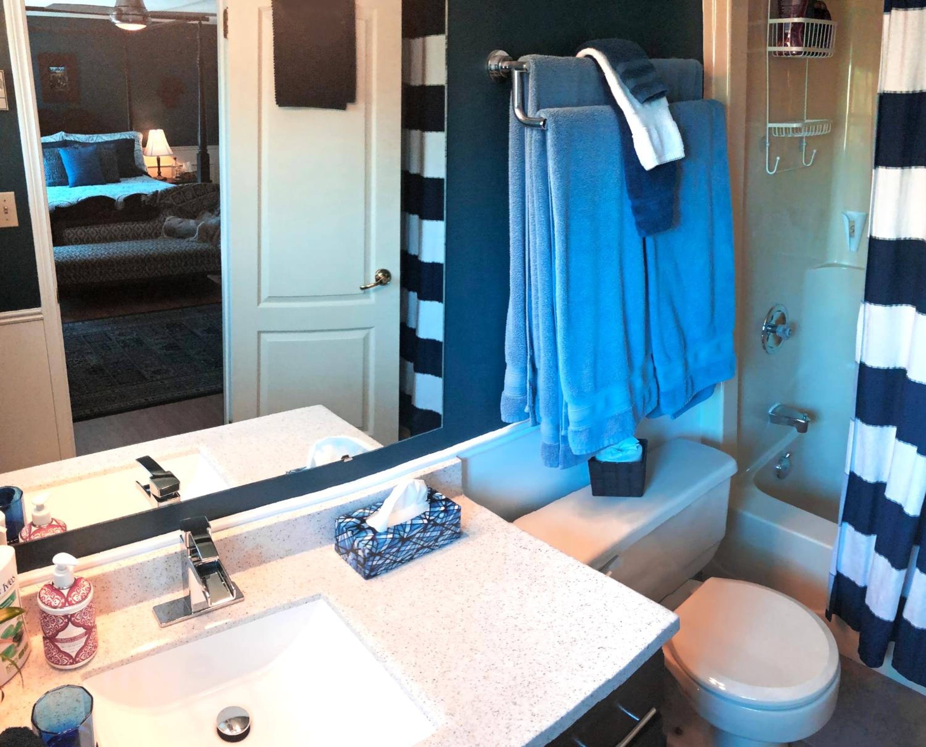 Deluxe King Suite photo 3