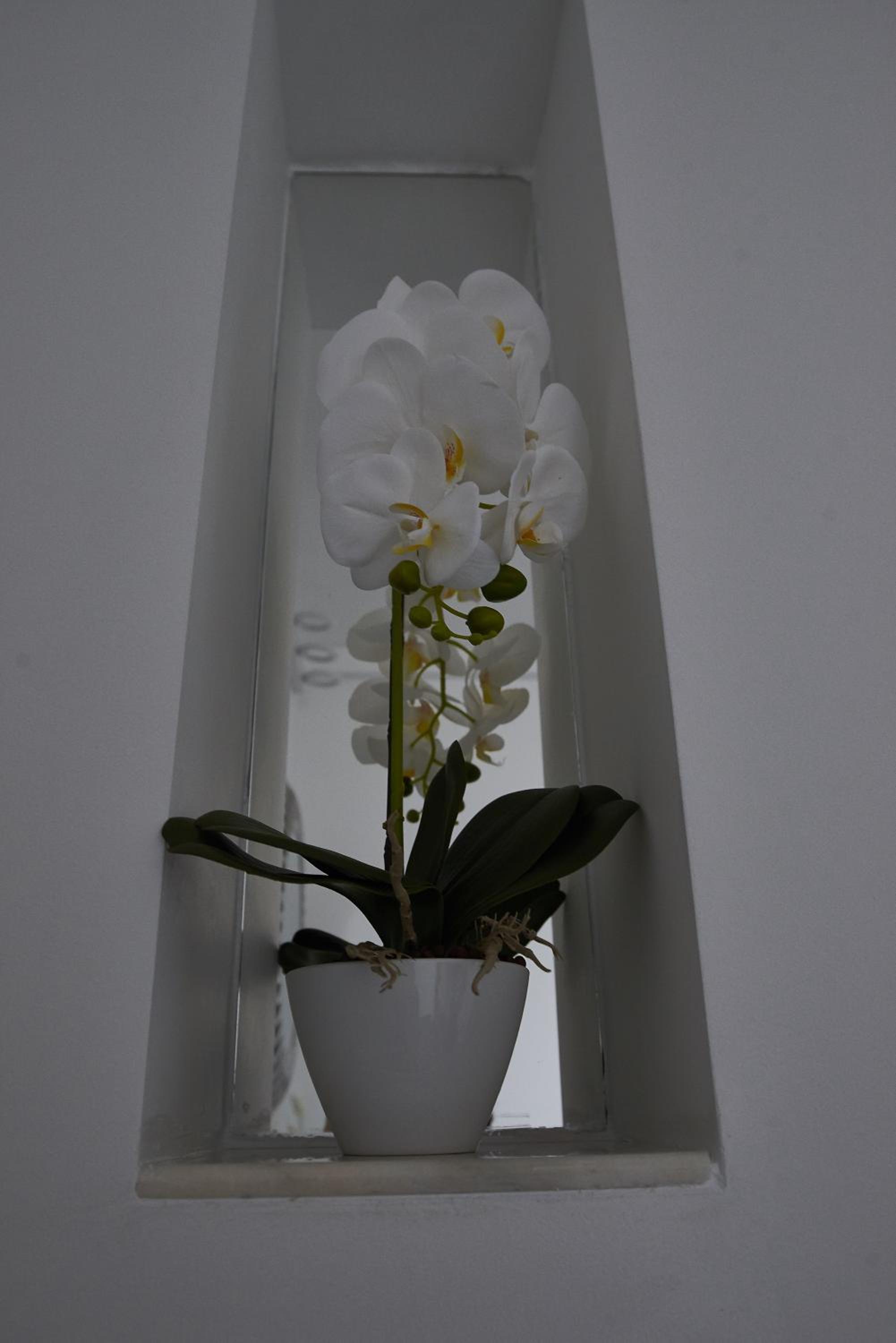 Superior Apartment - Photo 25