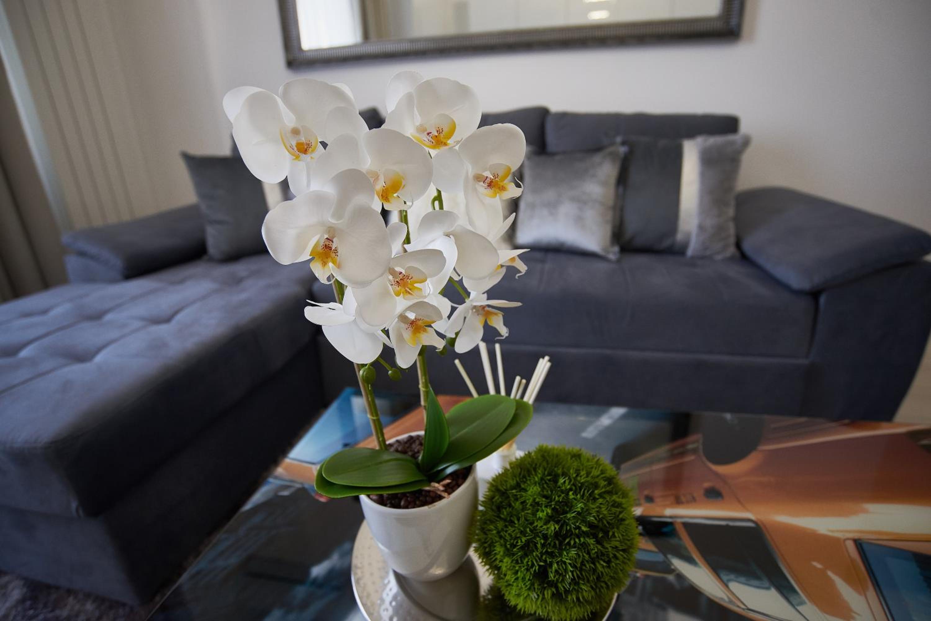 Superior Apartment - Photo 40