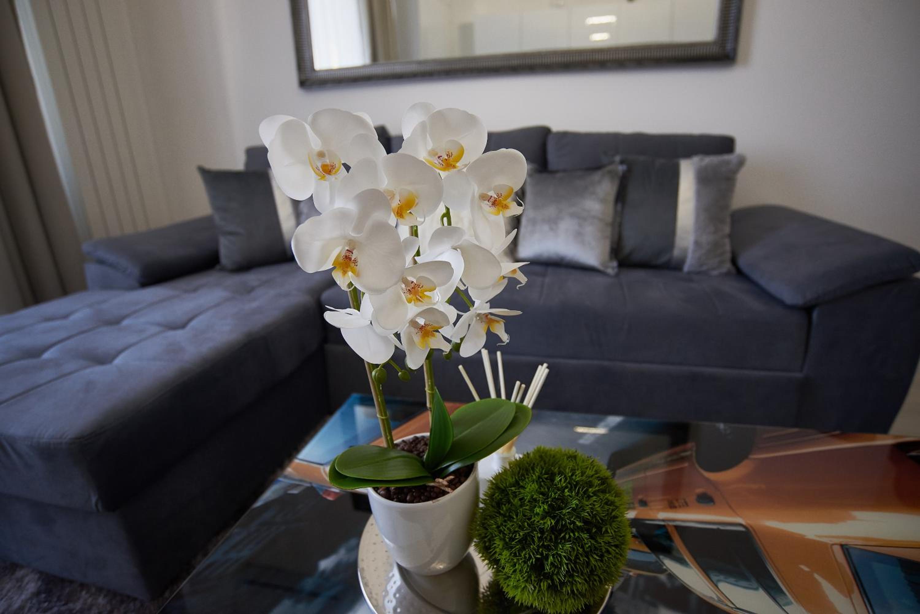 Superior Apartment - Photo 8