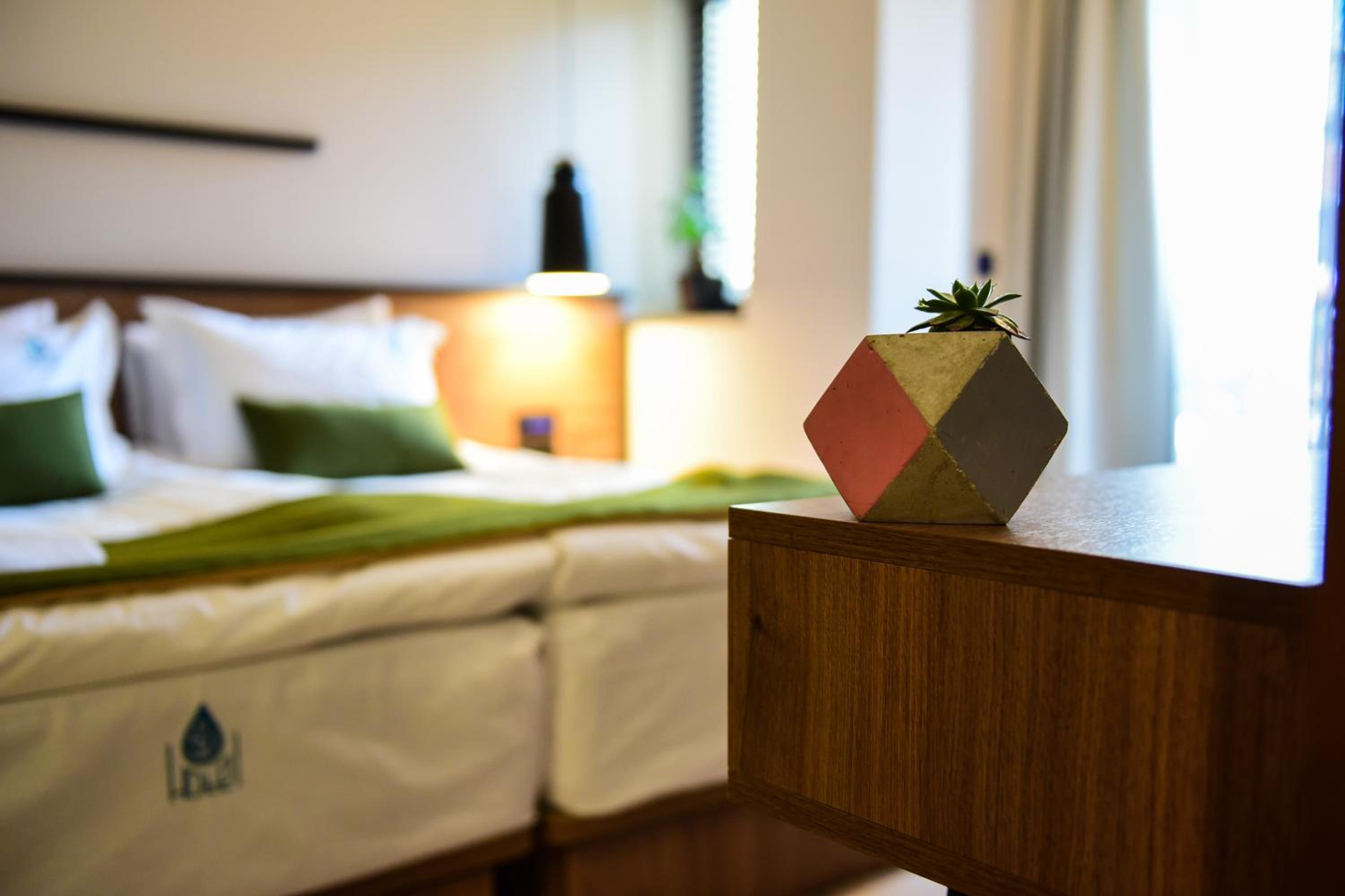 Deluxe Double or Twin Room with Balcony