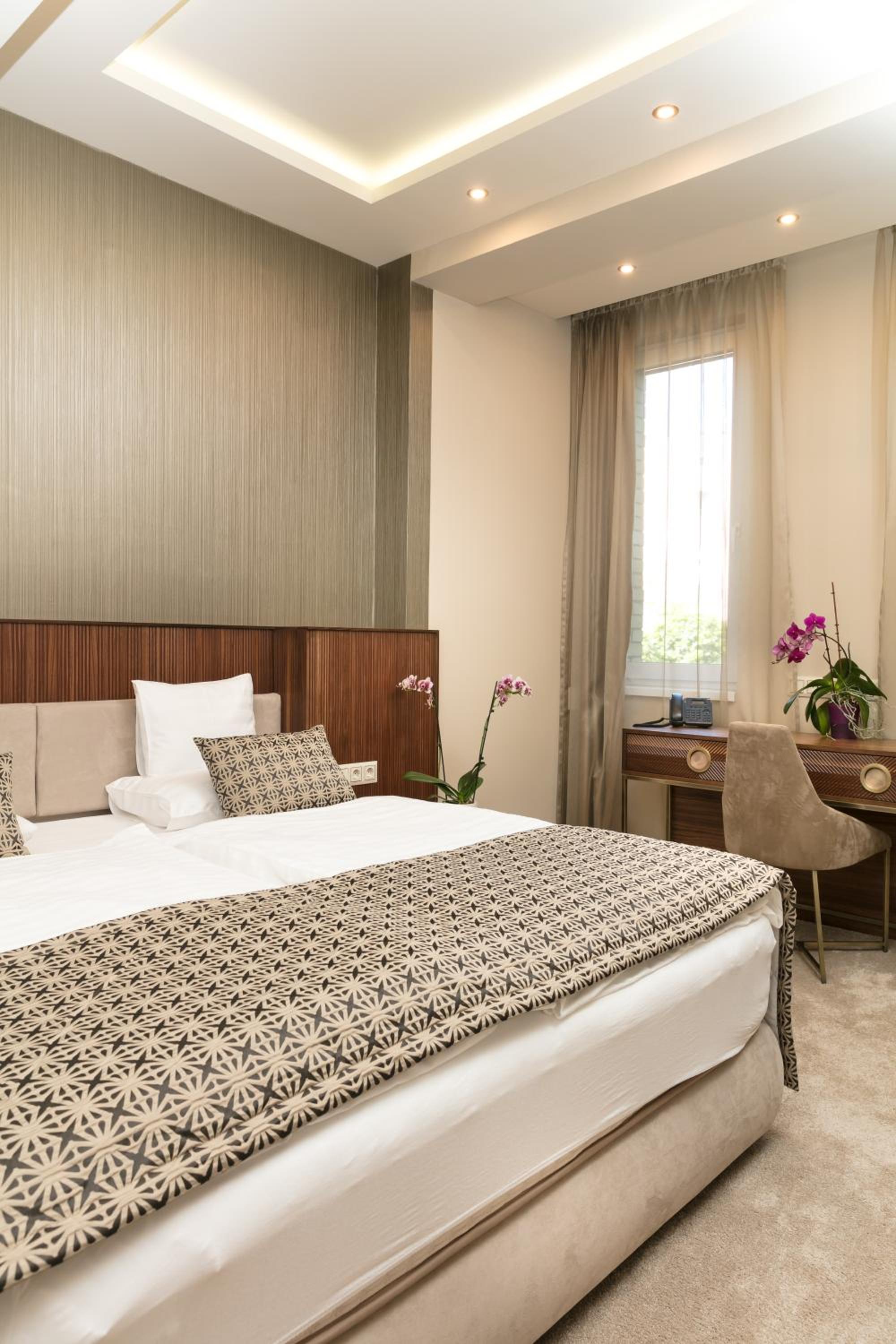 Deluxe Suite photo 1