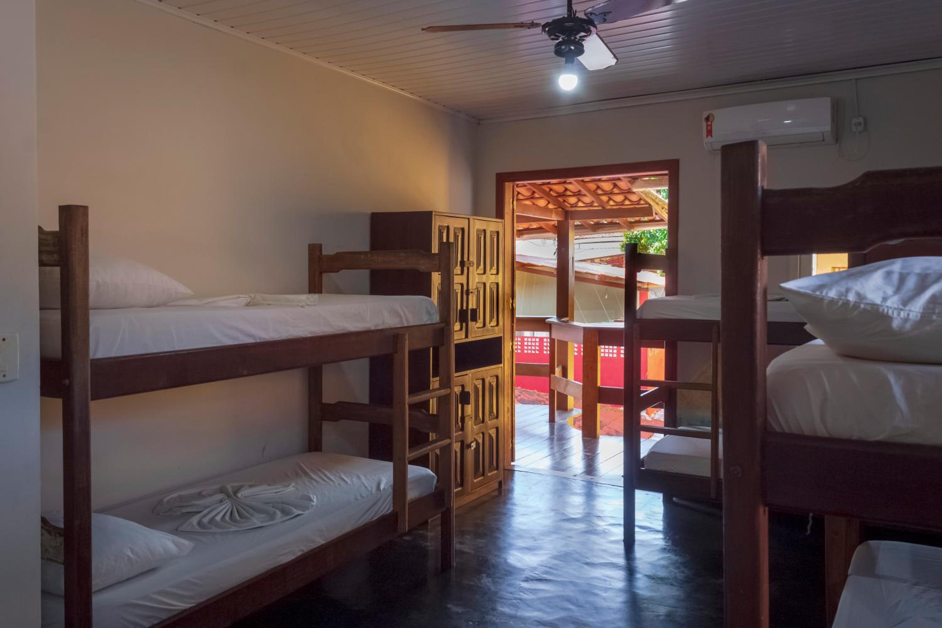 Bunk Bed in Mixed Dormitory Room photo 2