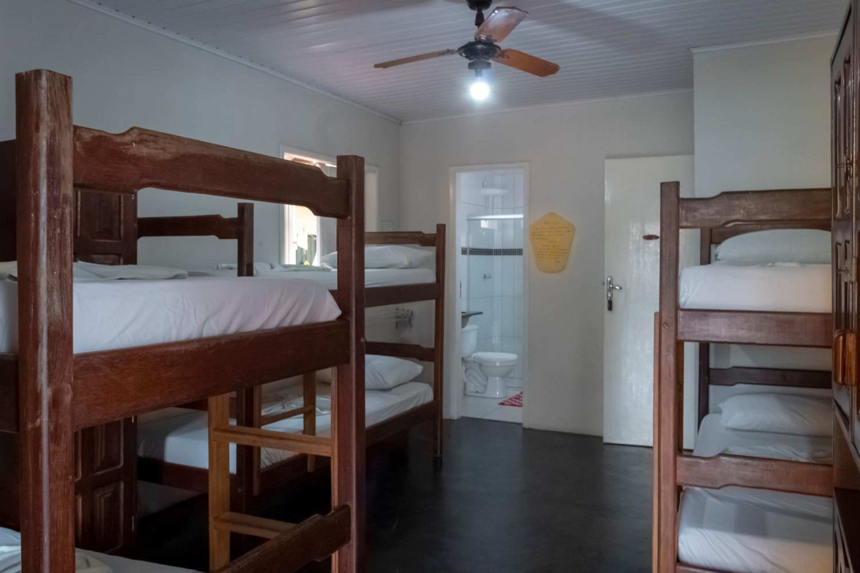 Bunk Bed in Mixed Dormitory Room photo 1