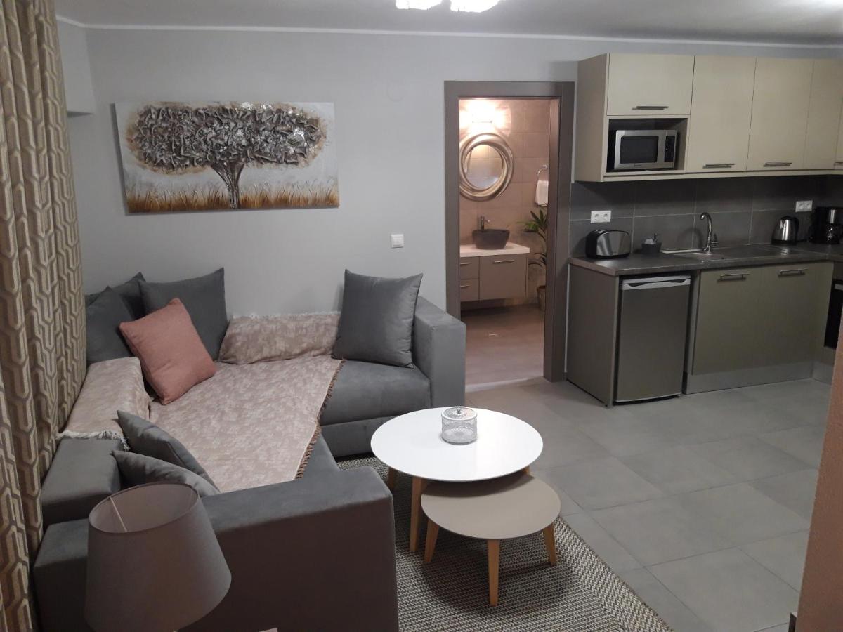 One-Bedroom Apartment photo 2