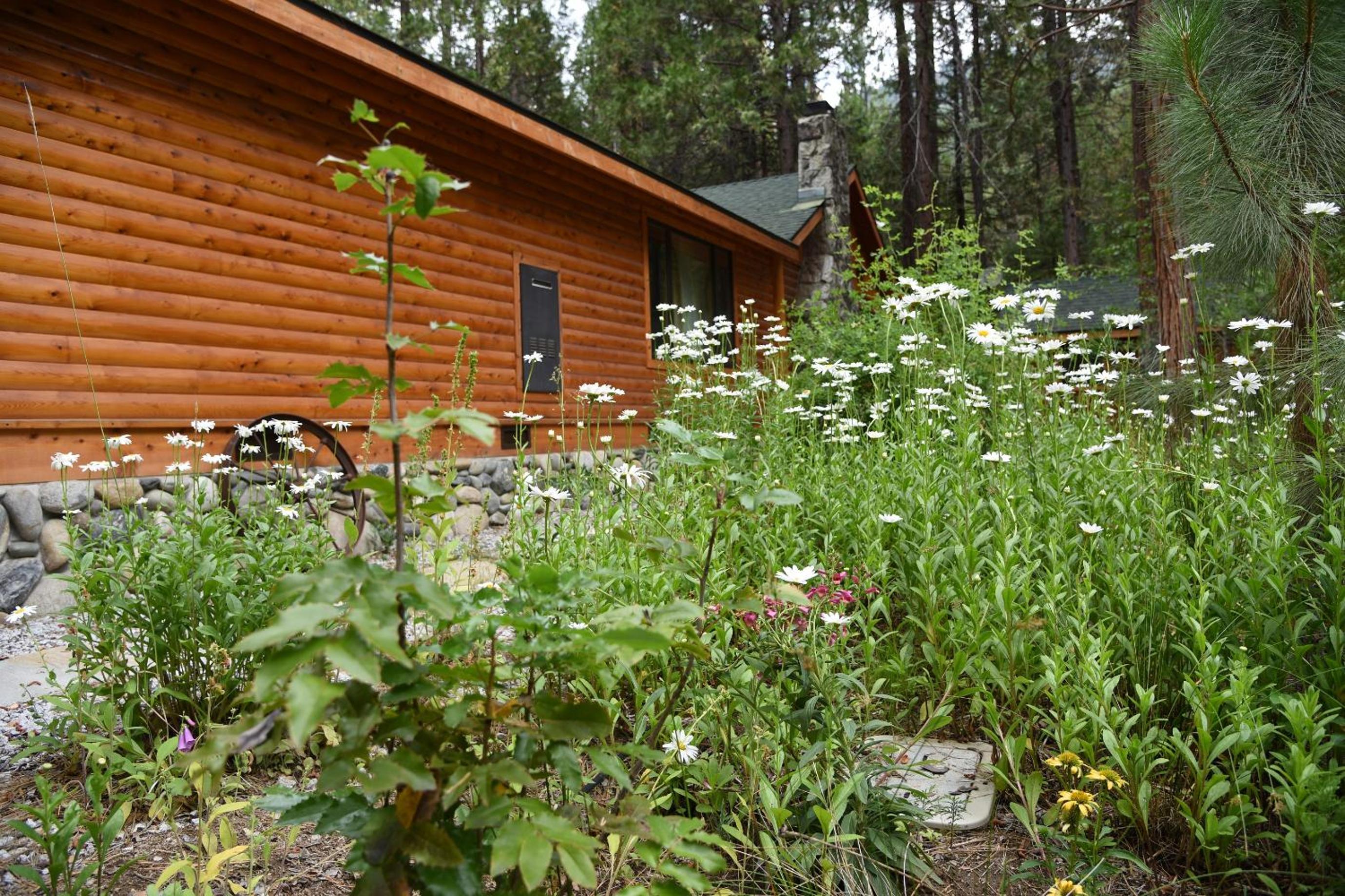 Four-Bedroom House photo 3