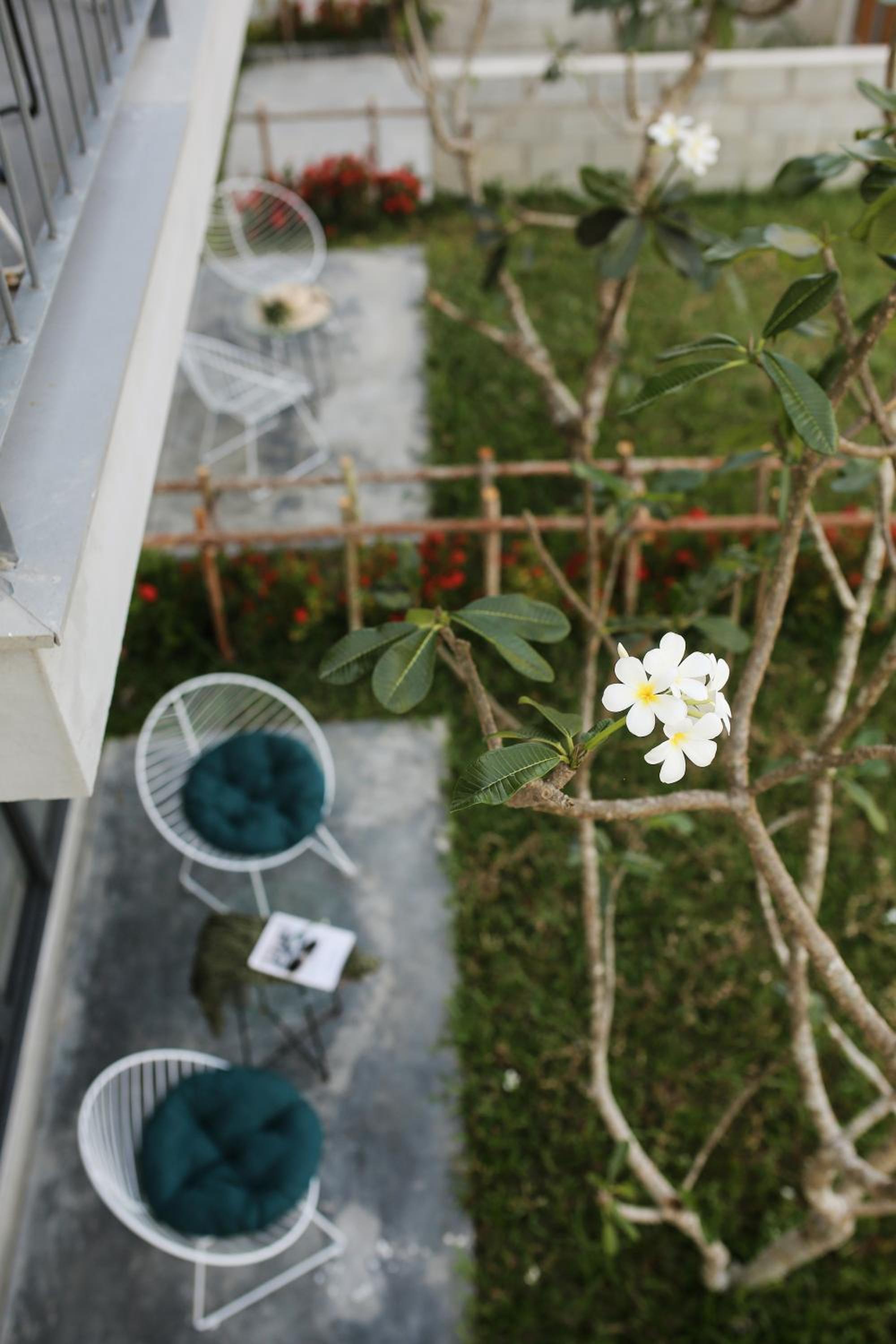 Deluxe Double or Twin Room Private Garden - Photo 2
