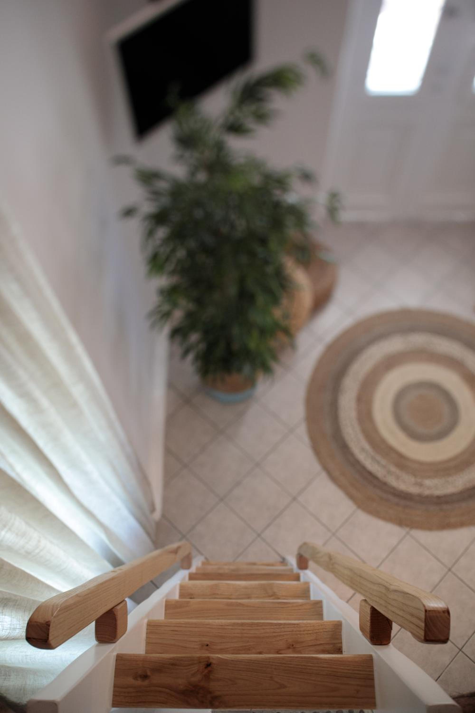 Suite with Terrace photo 2