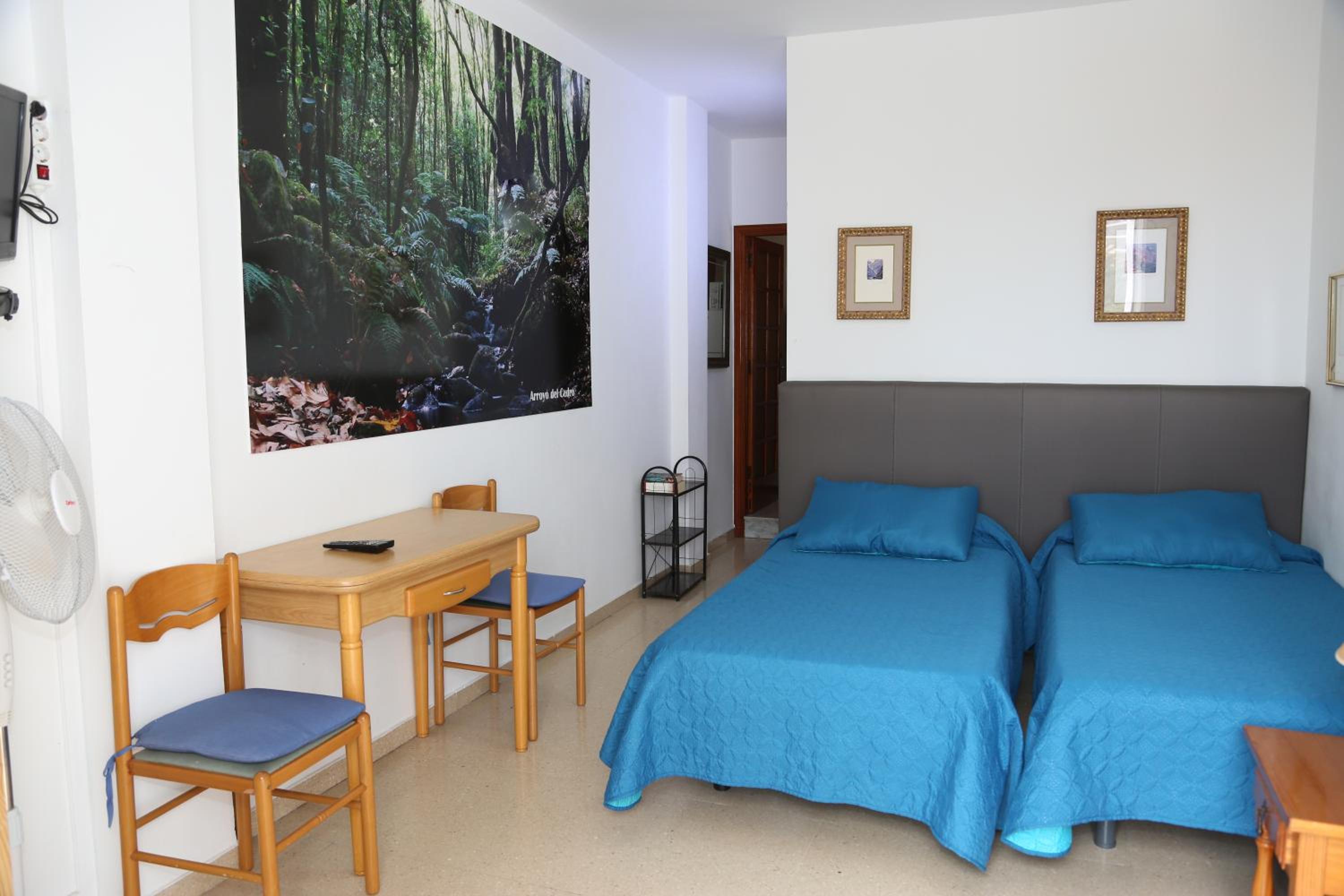 Apartamento con Terraza