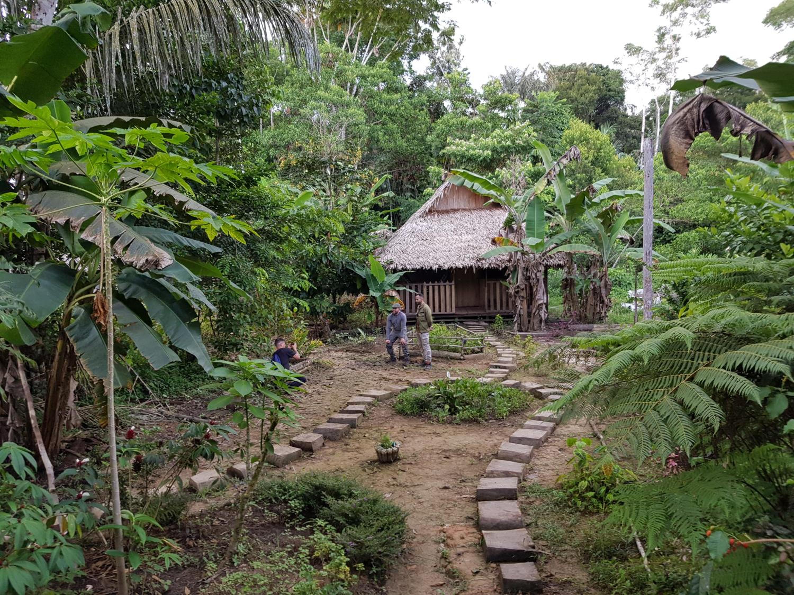 Family Bungalow photo 2