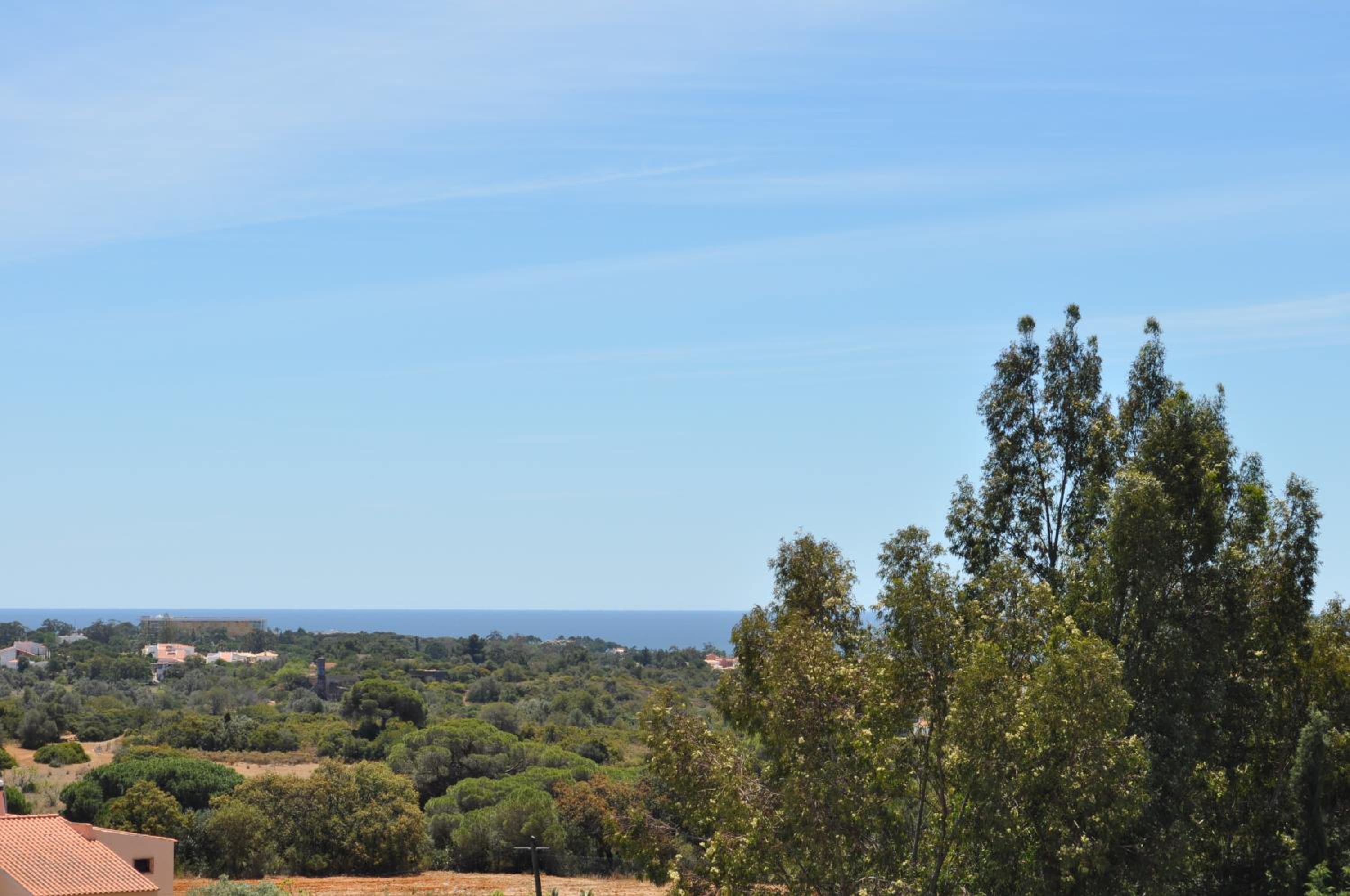 Superior Apartment - Photo 8