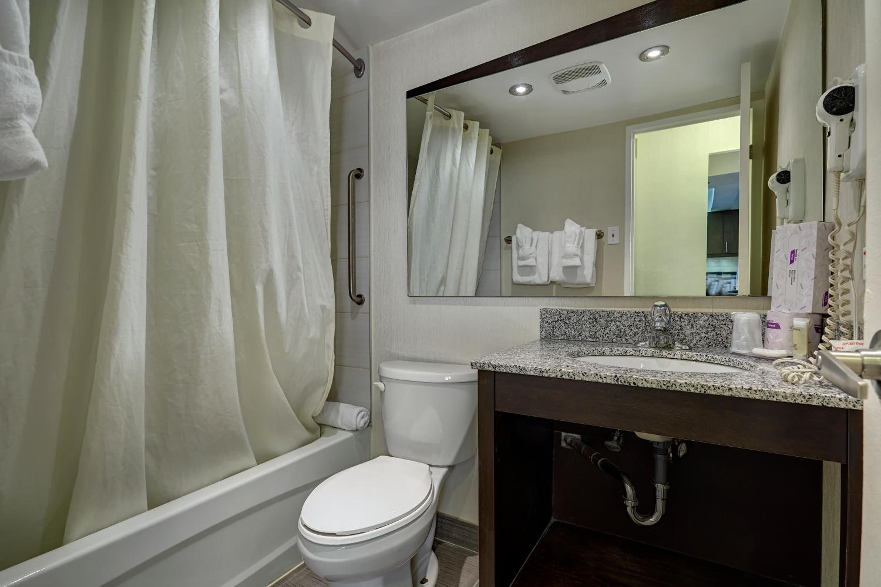 Deluxe Suite - Photo 4