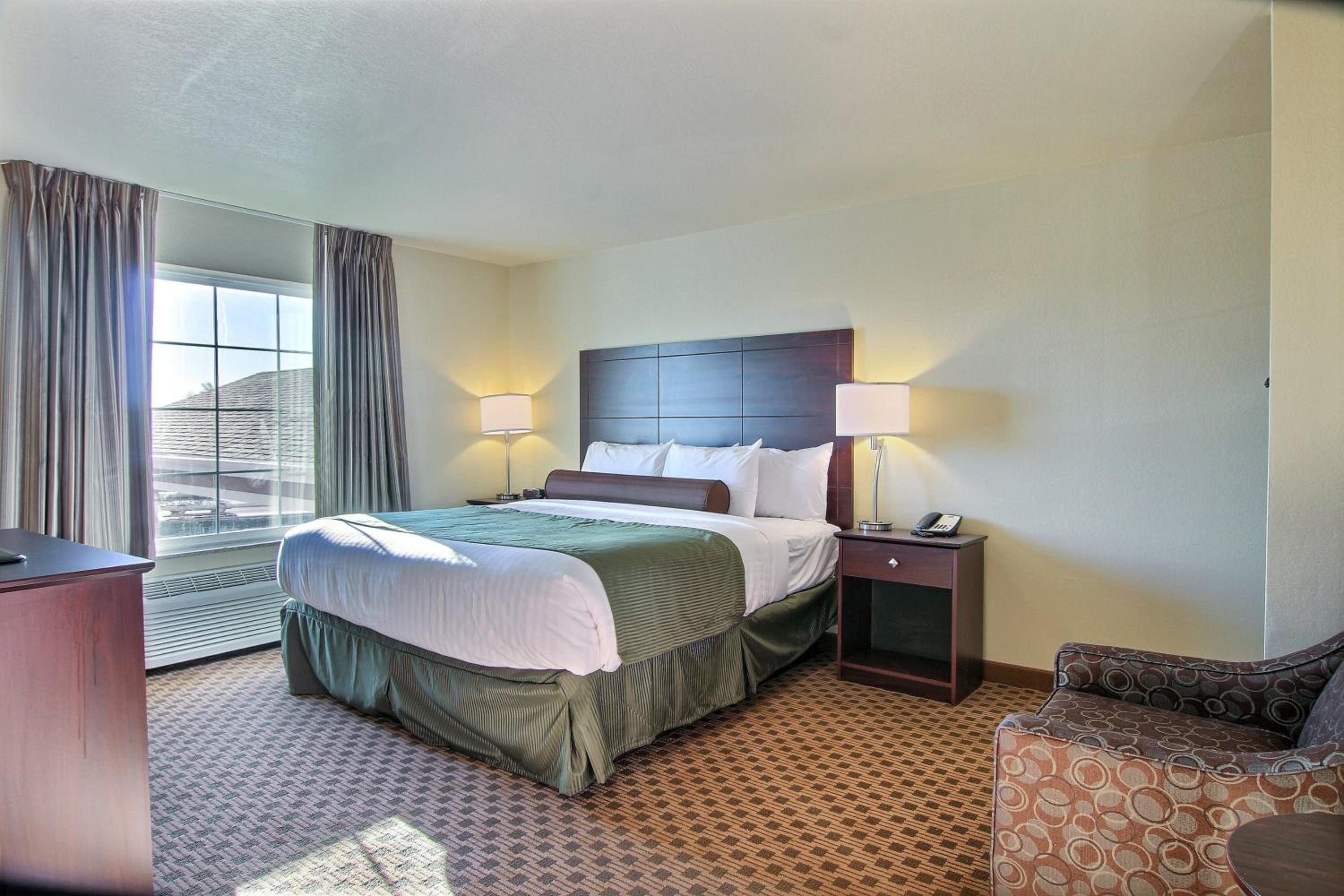 One-Bedroom Suite photo 2