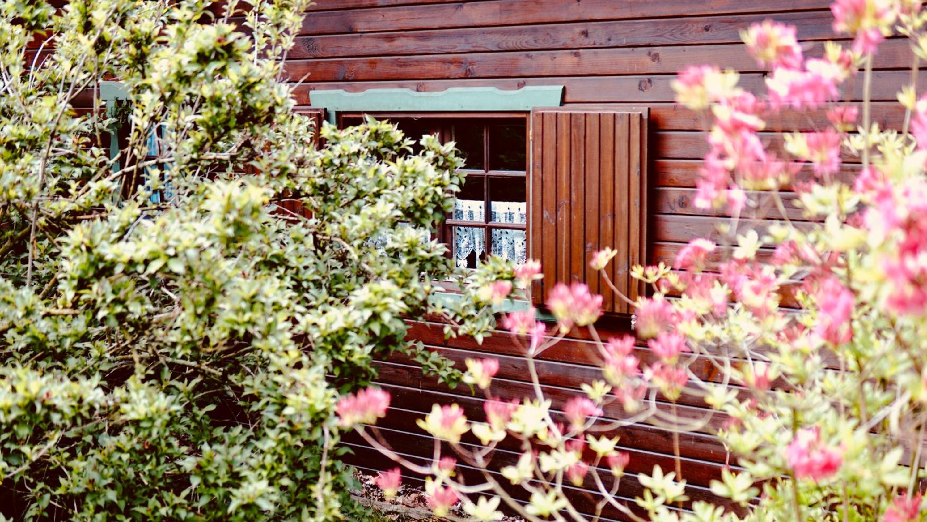 Standard Bungalow - Photo 8