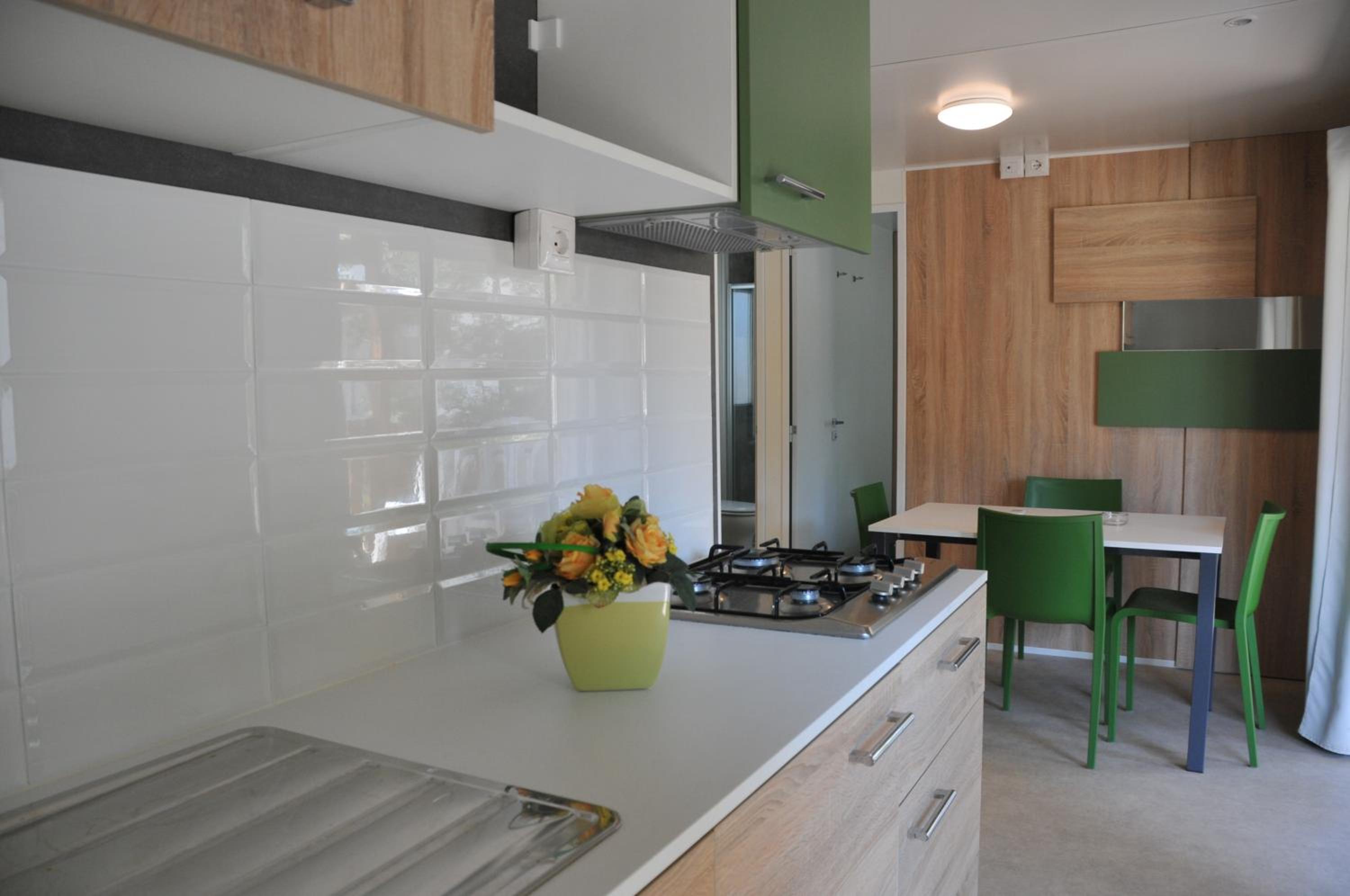 Mobile Home photo 2