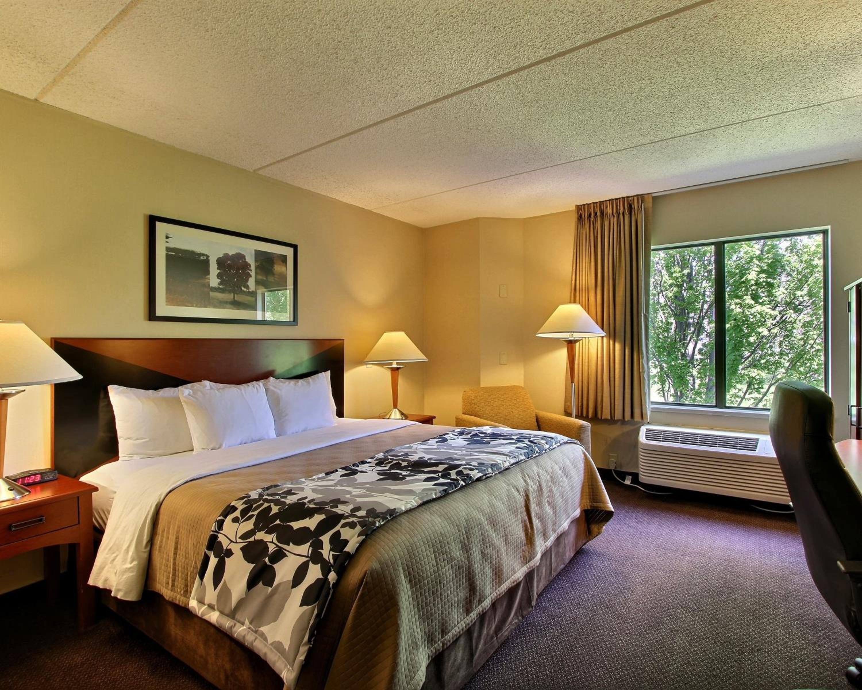 King Room - Non-Smoking - Photo 8