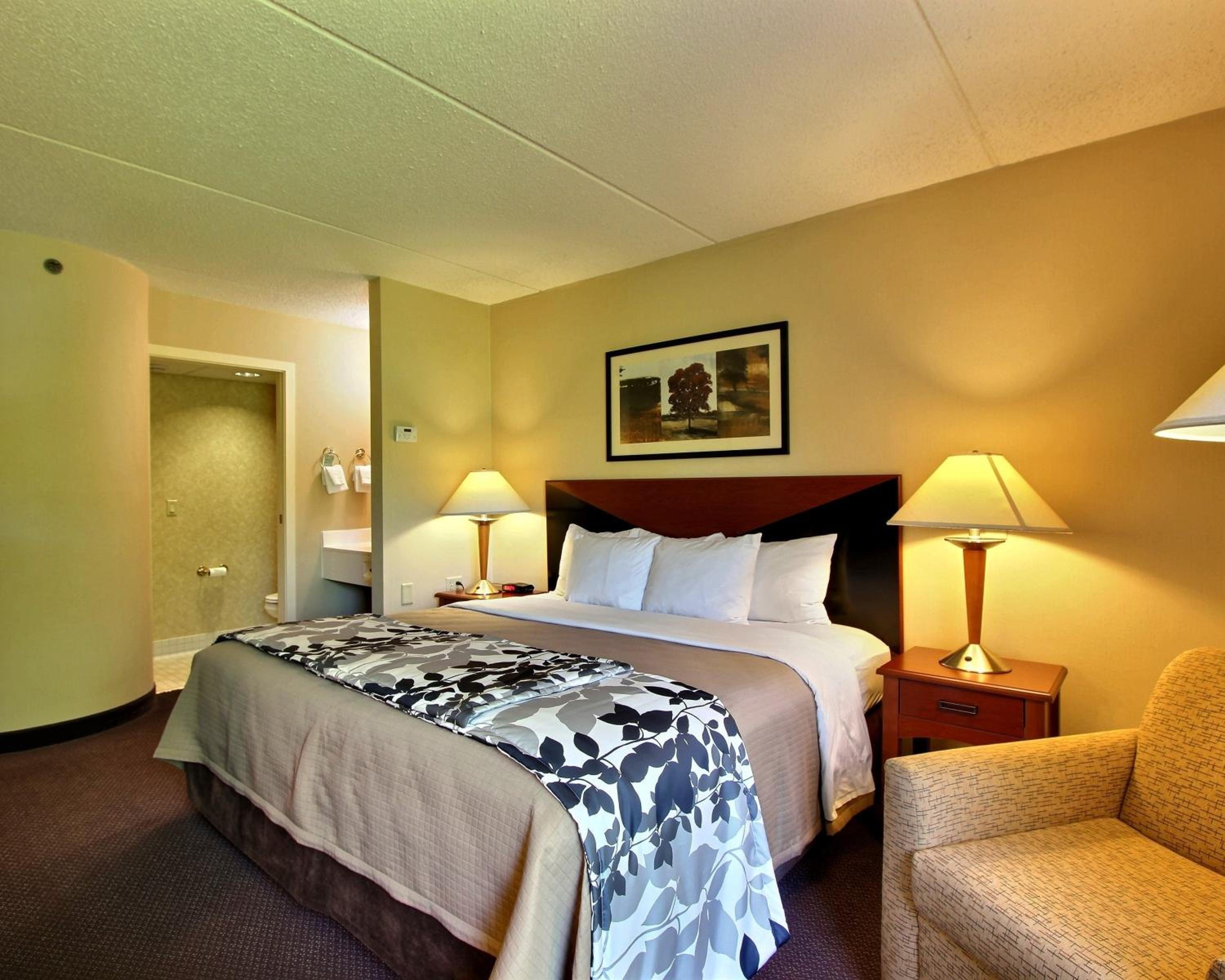 King Room - Non-Smoking - Photo 7