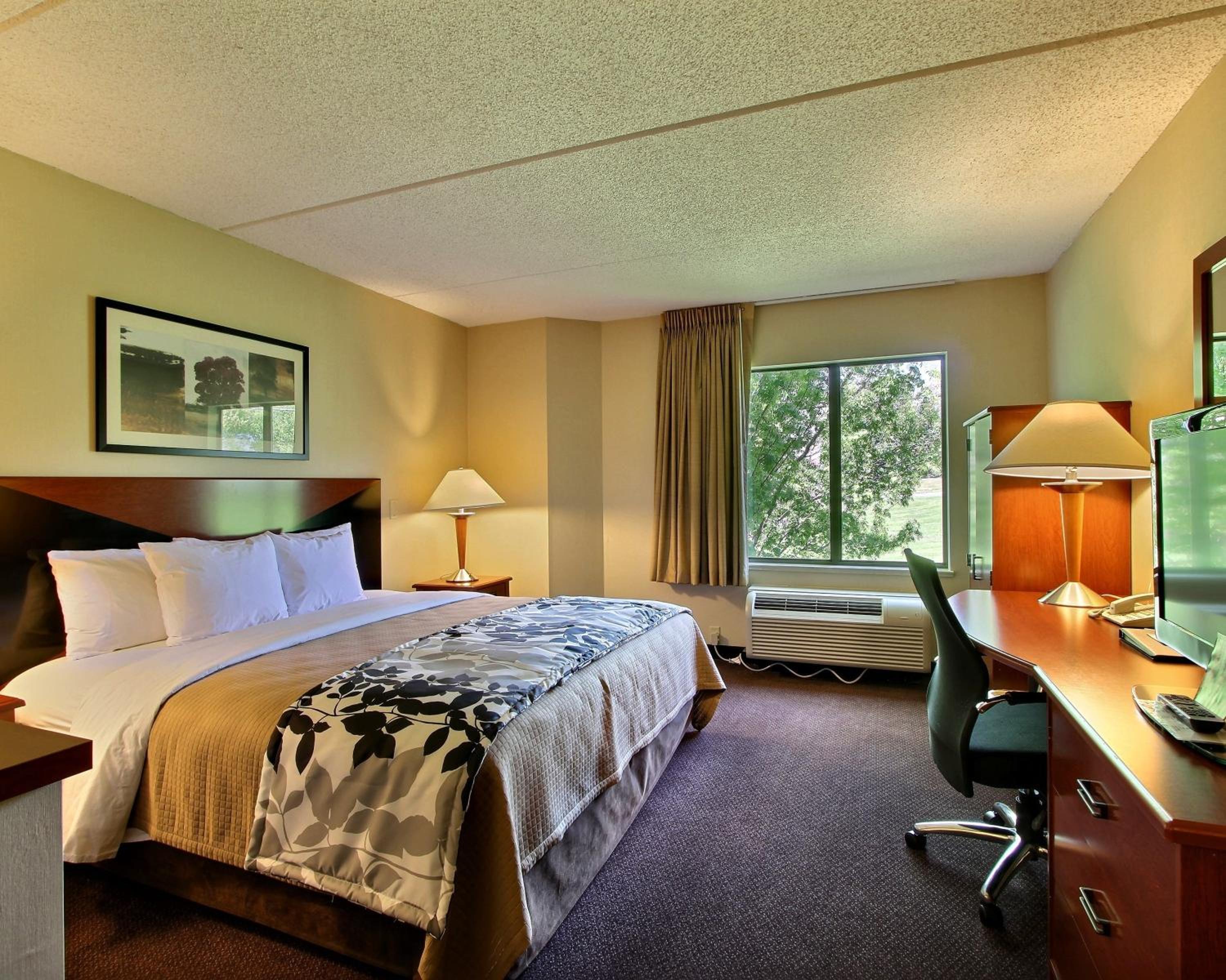 King Room - Non-Smoking - Photo 3