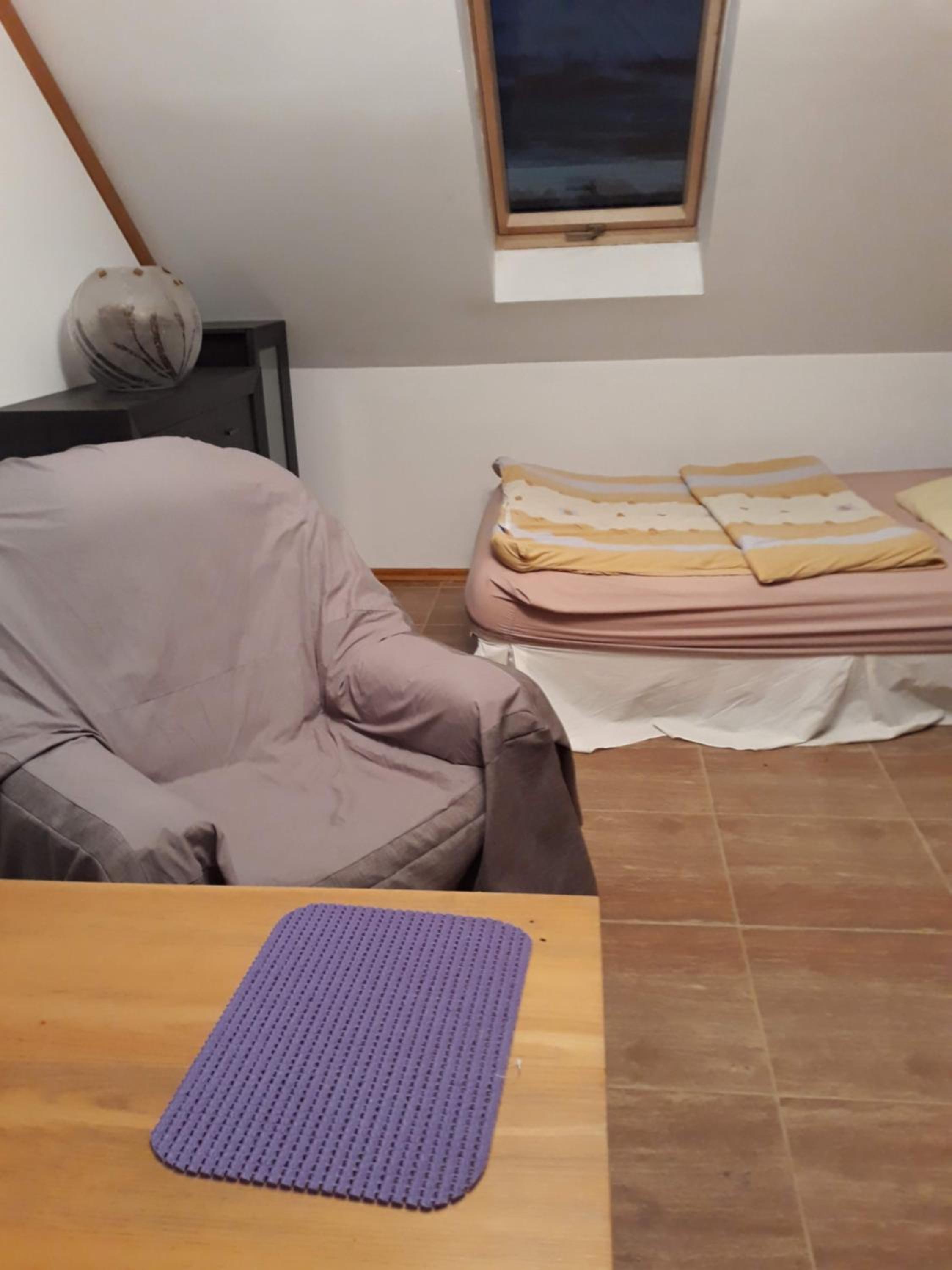 Family Room with Garden View - Photo 15