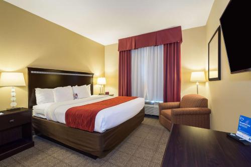 King Suite with Sofa Bed photo 2