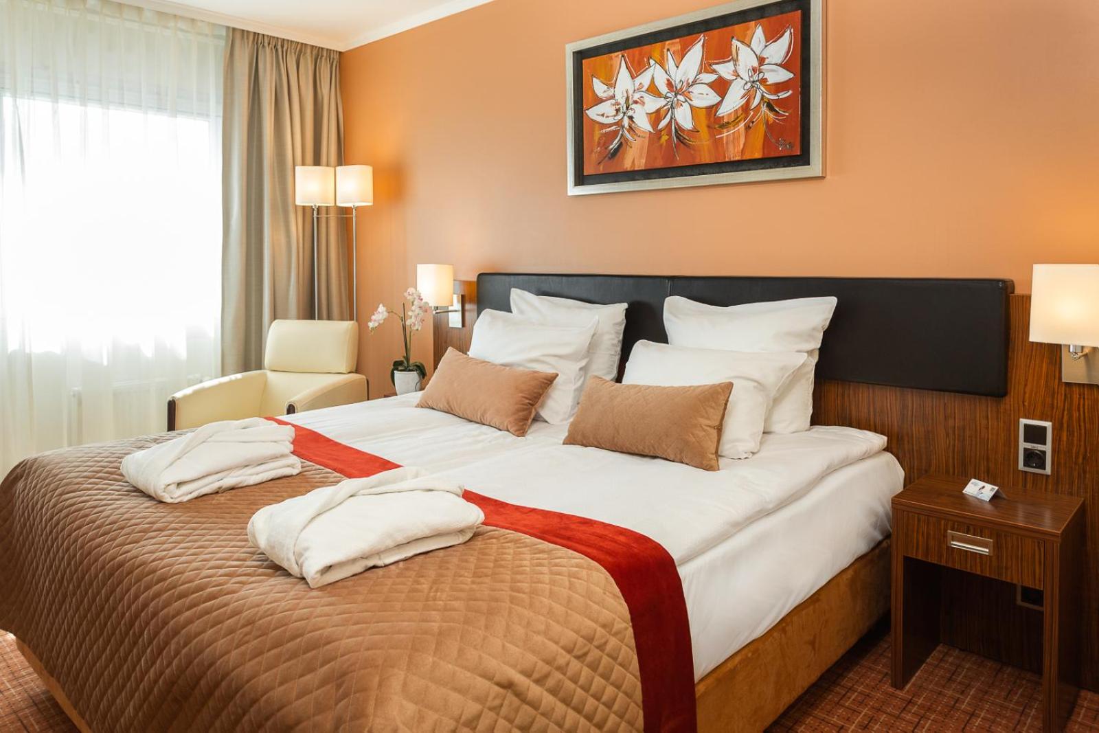 Superior Double or Twin Room - Photo 4
