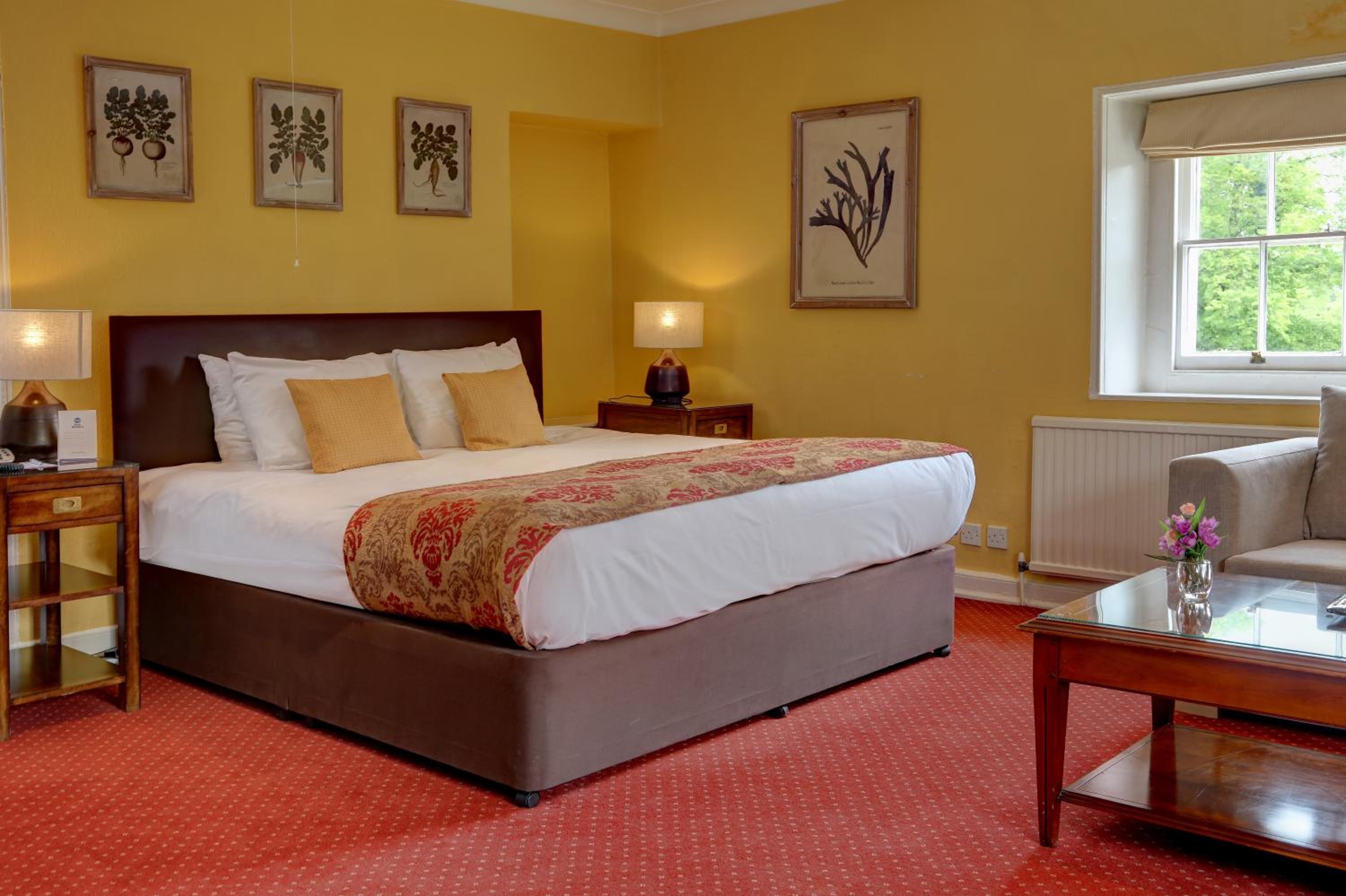 Superior Double Room - Photo 4