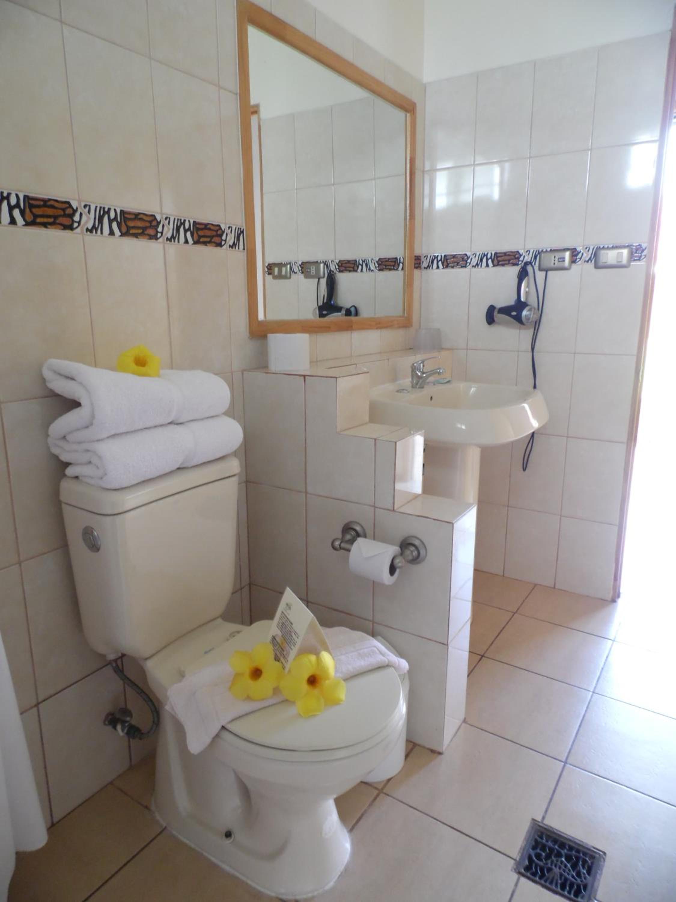 Double or Twin Room photo 3