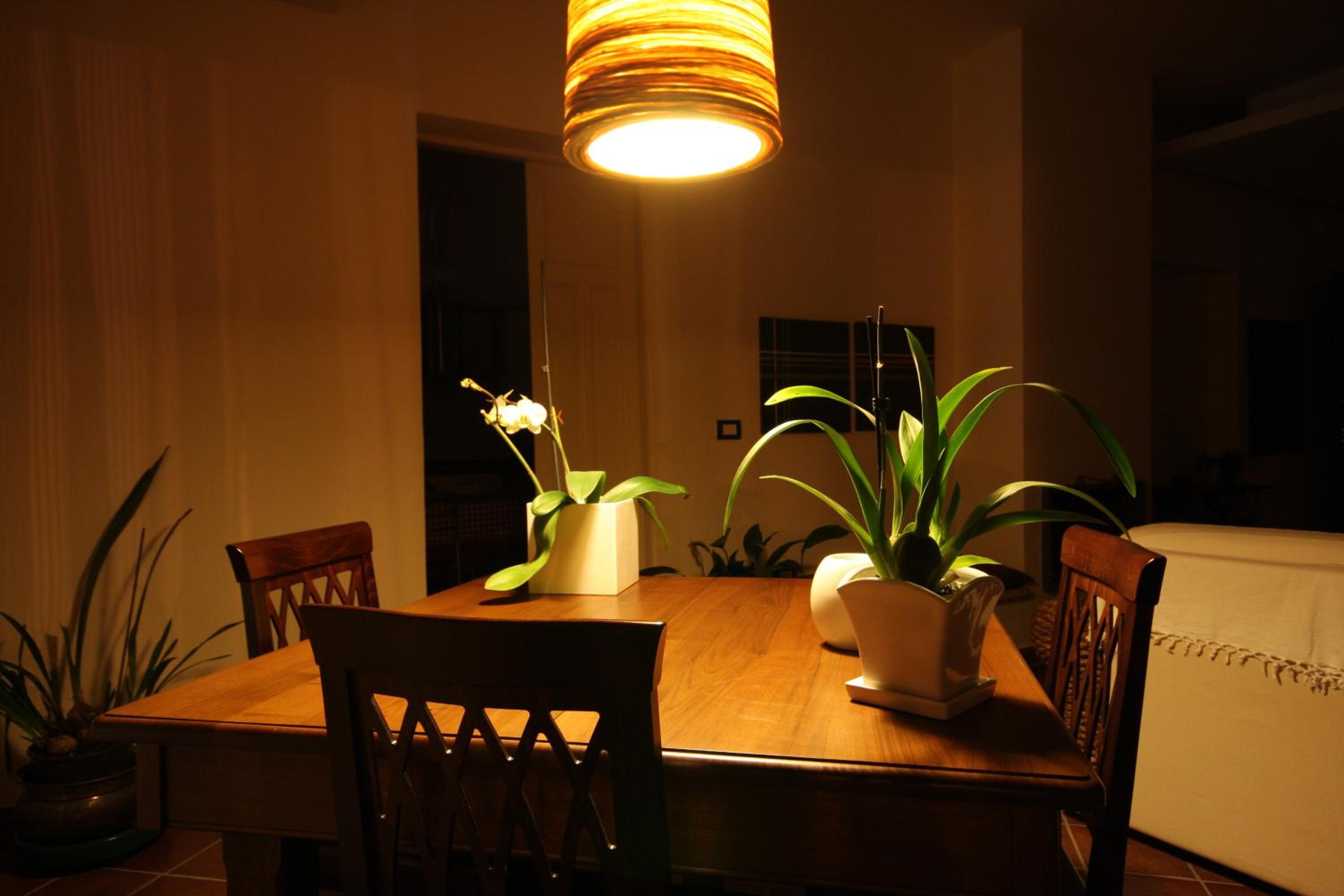 King Room with Garden View photo 2