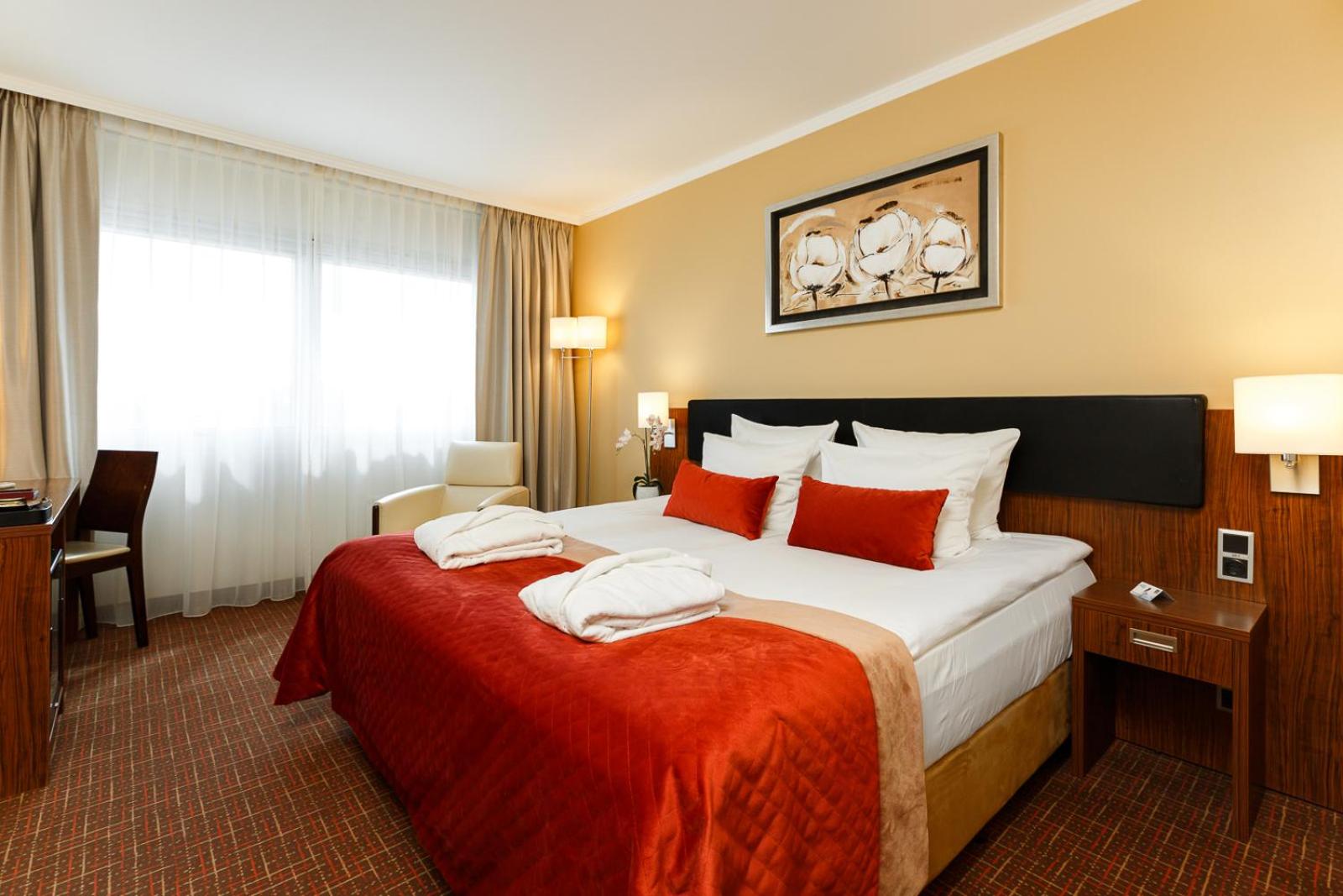 Superior Double or Twin Room - Photo 1